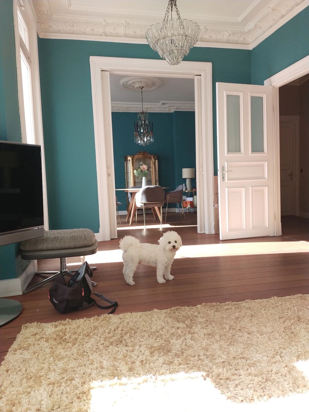 image-13