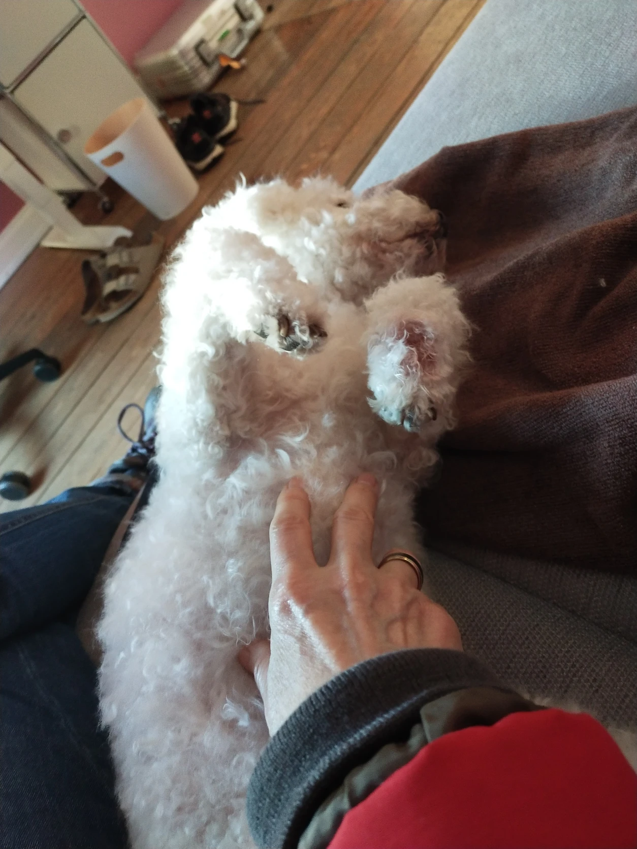 image-12