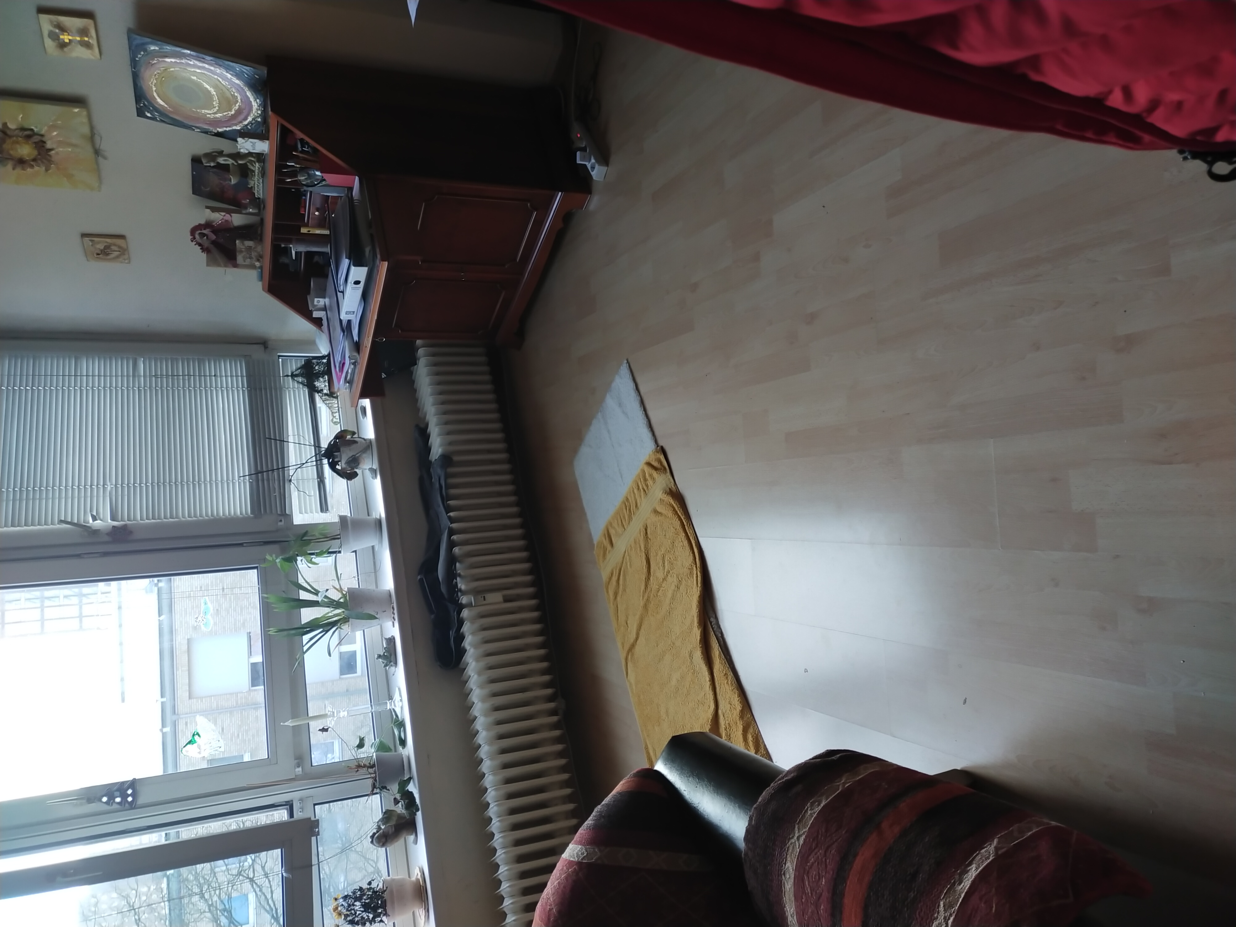 image-19