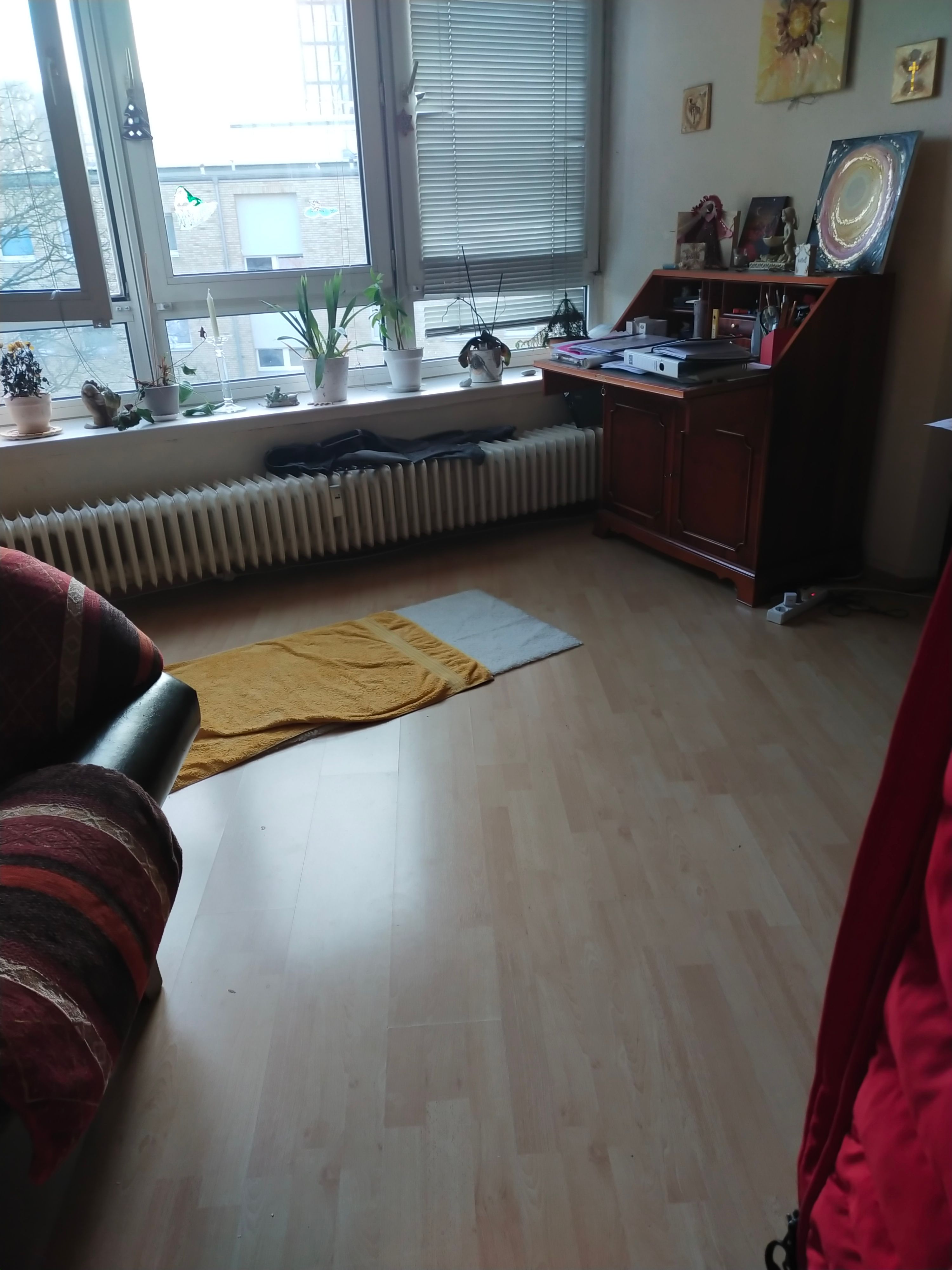 image-19