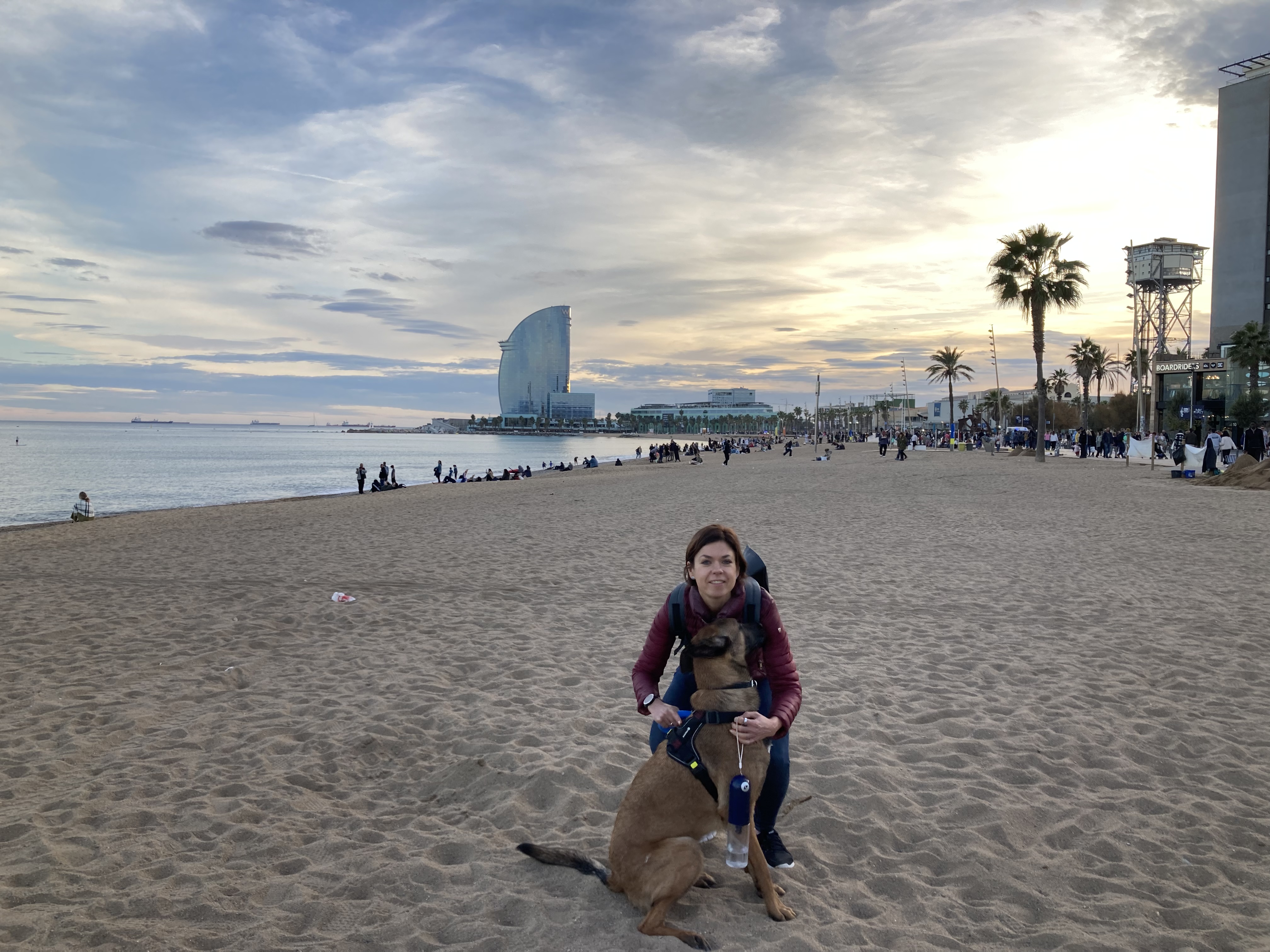 image-6