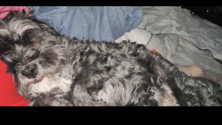 image-6