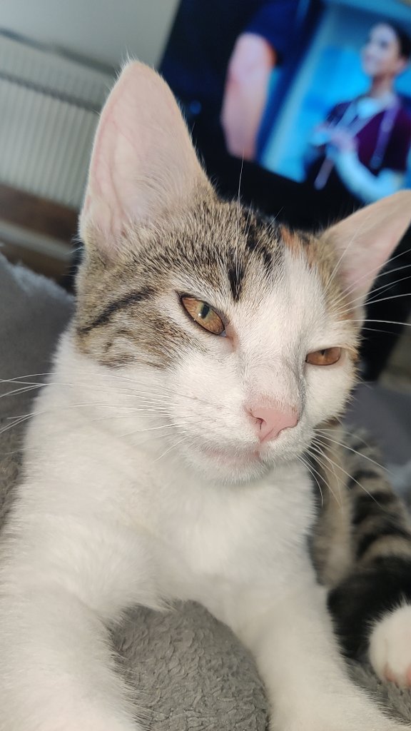 Yuki