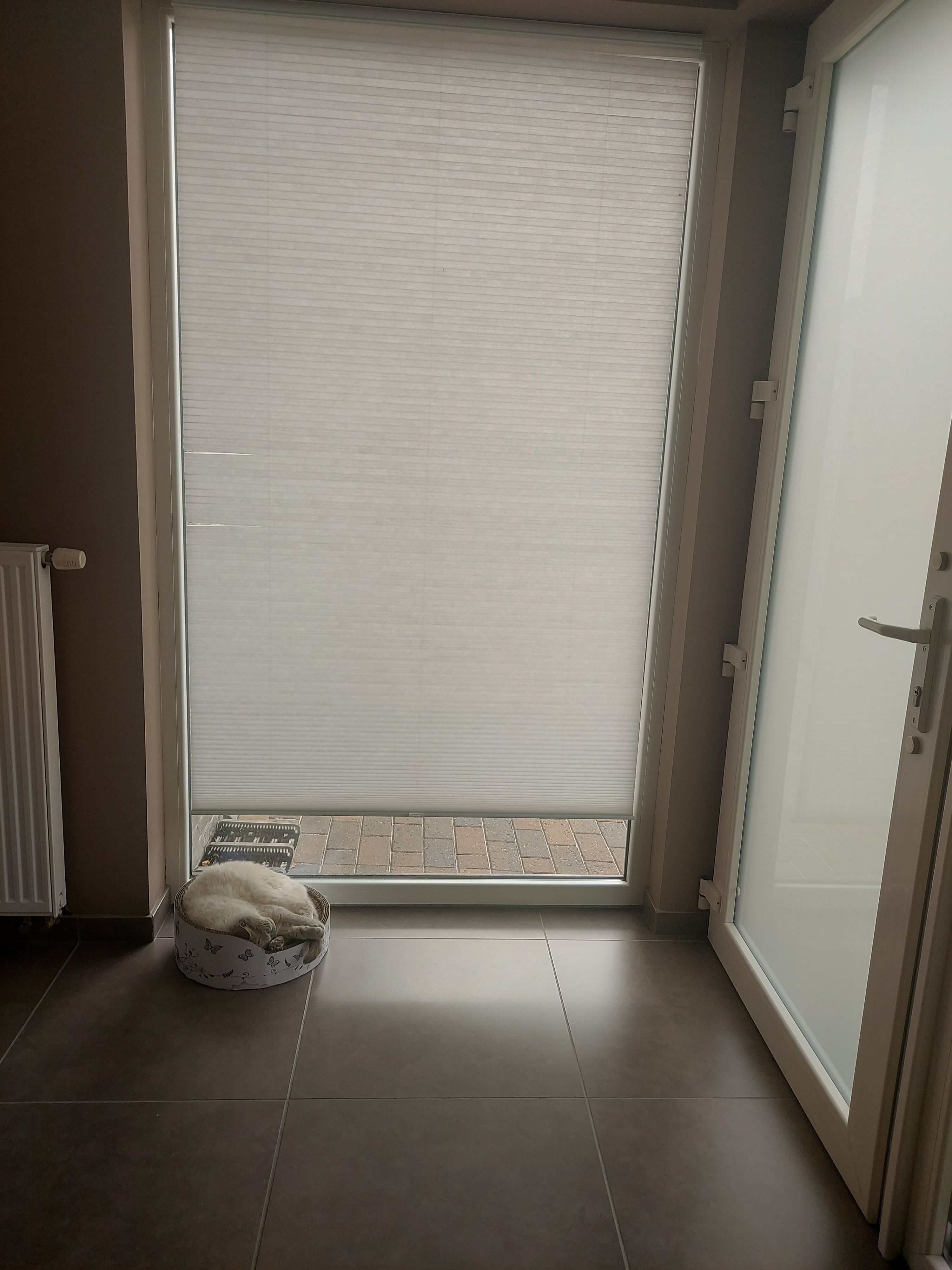 image-24