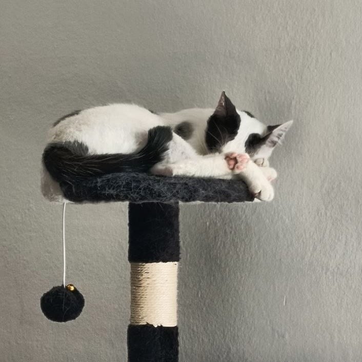 Artù