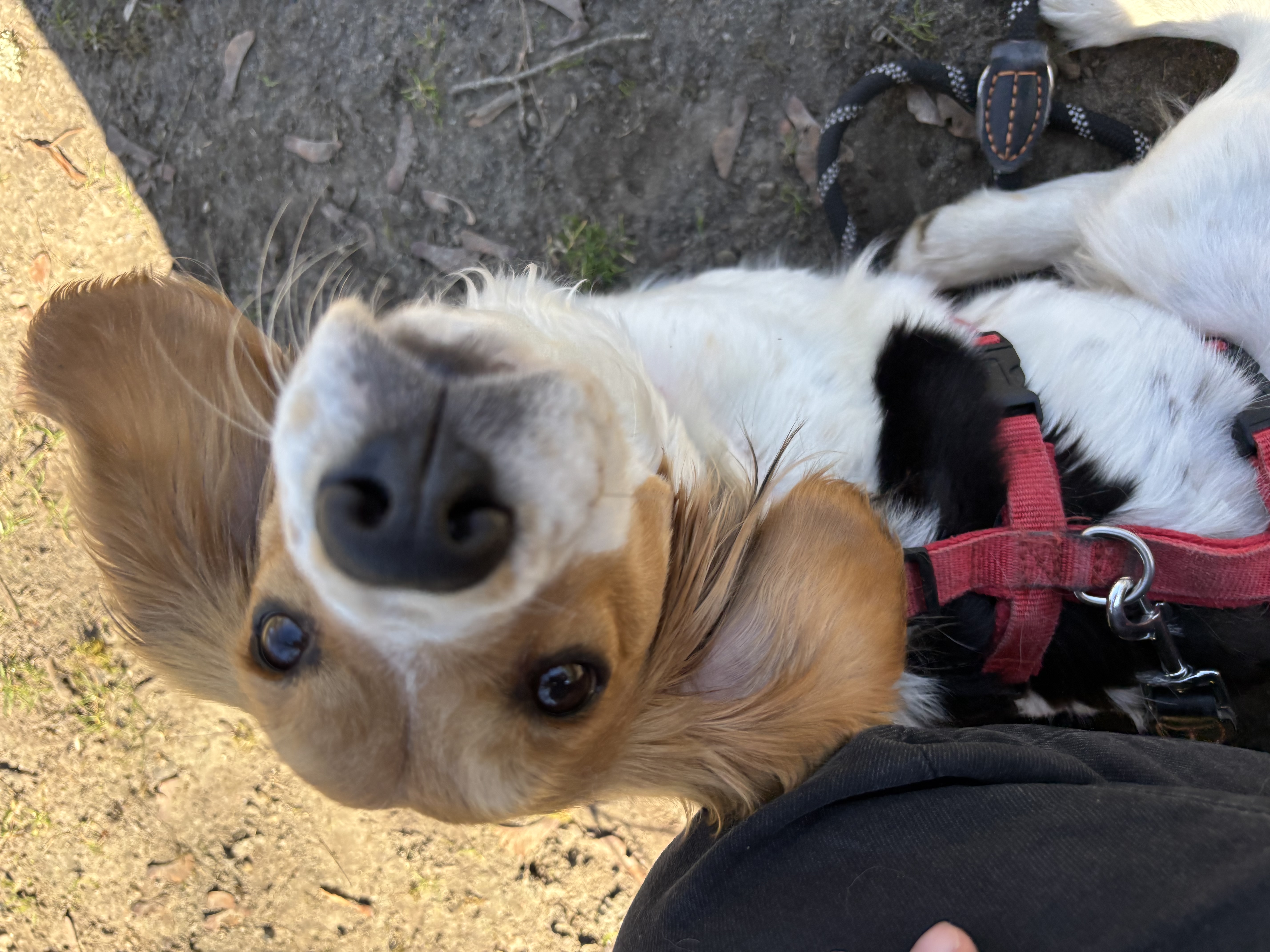 image-9