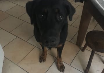 Oscar
