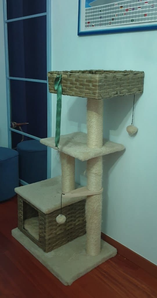 image-10