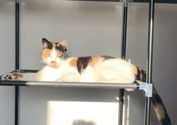 Esme