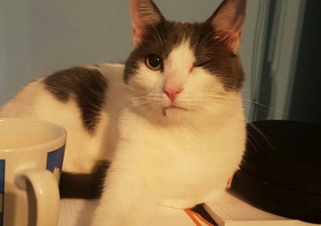 Spock
