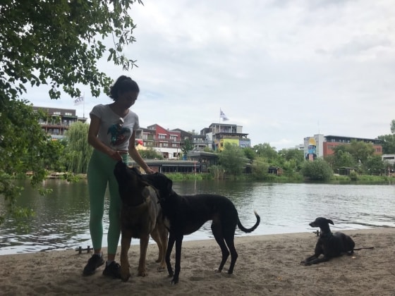 image-10