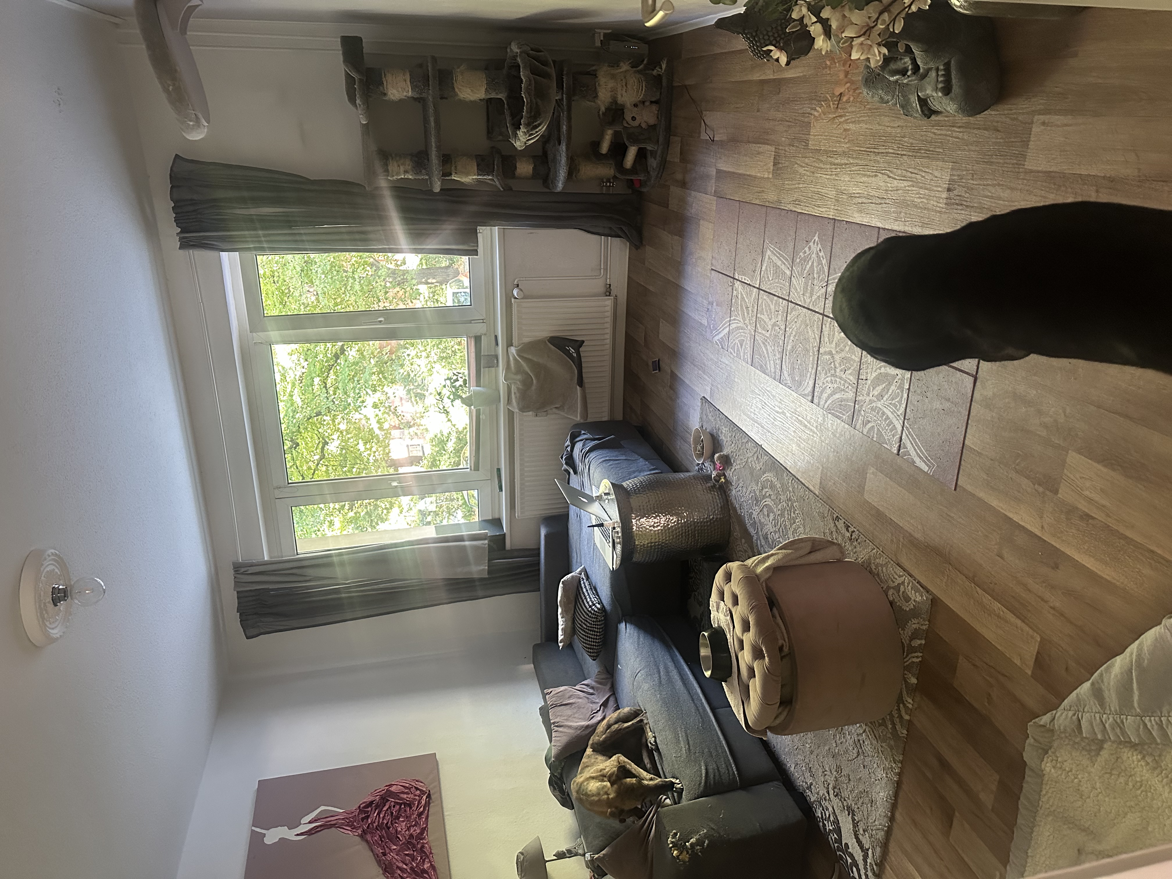 image-19