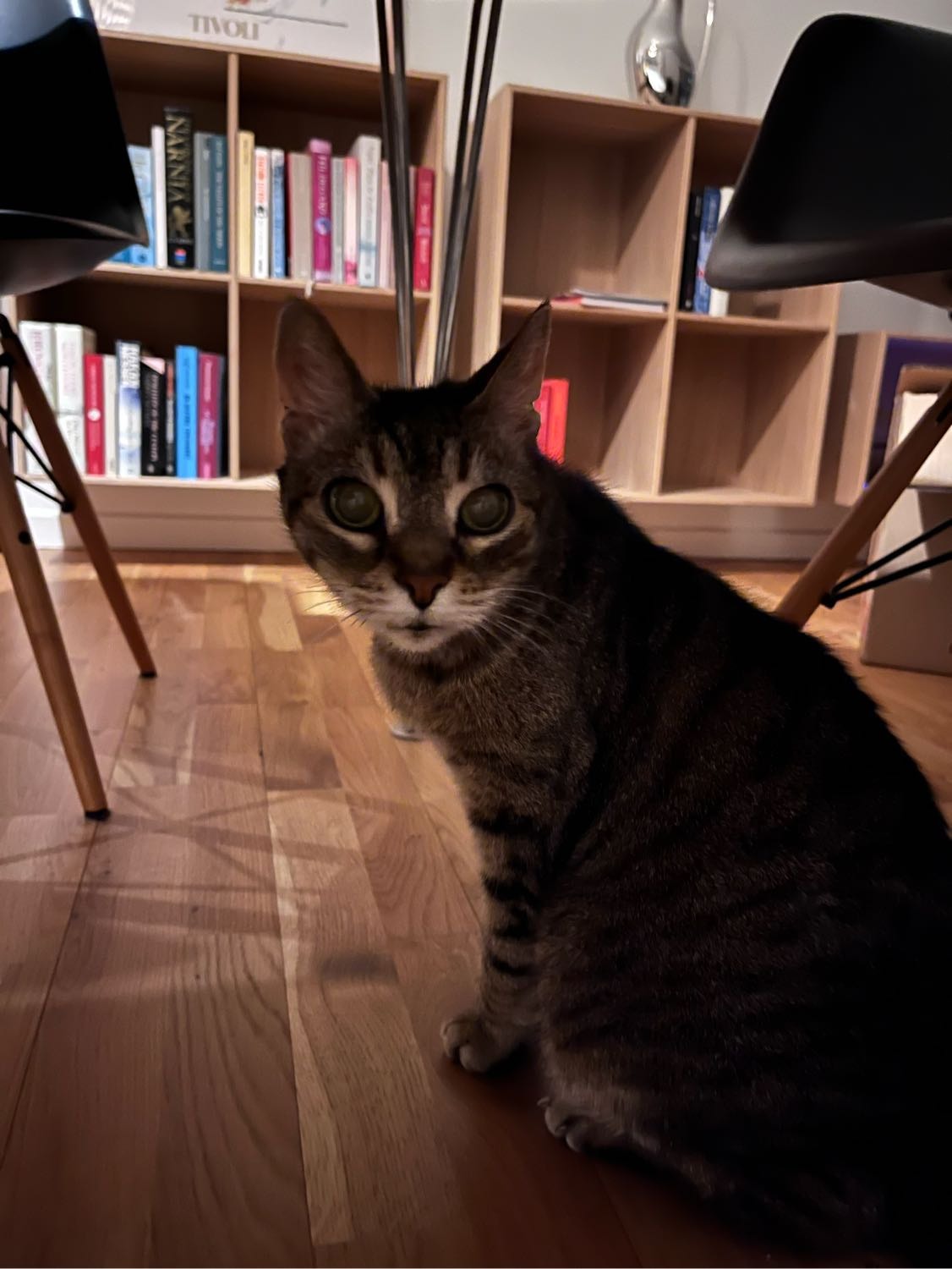 image-7