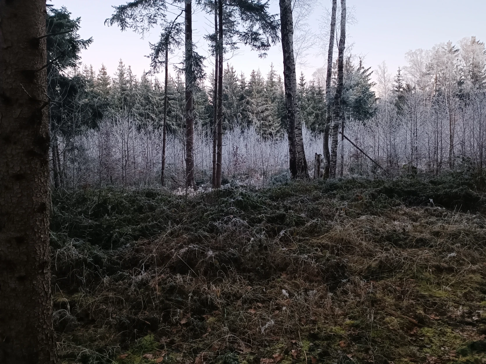 image-13