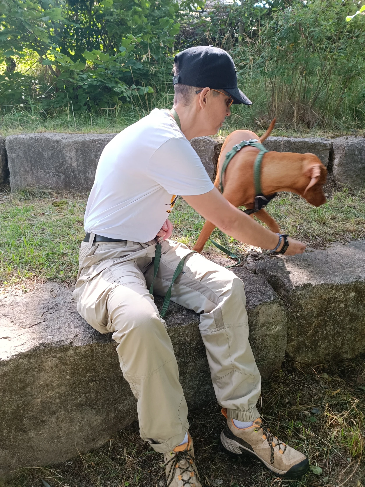 image-7