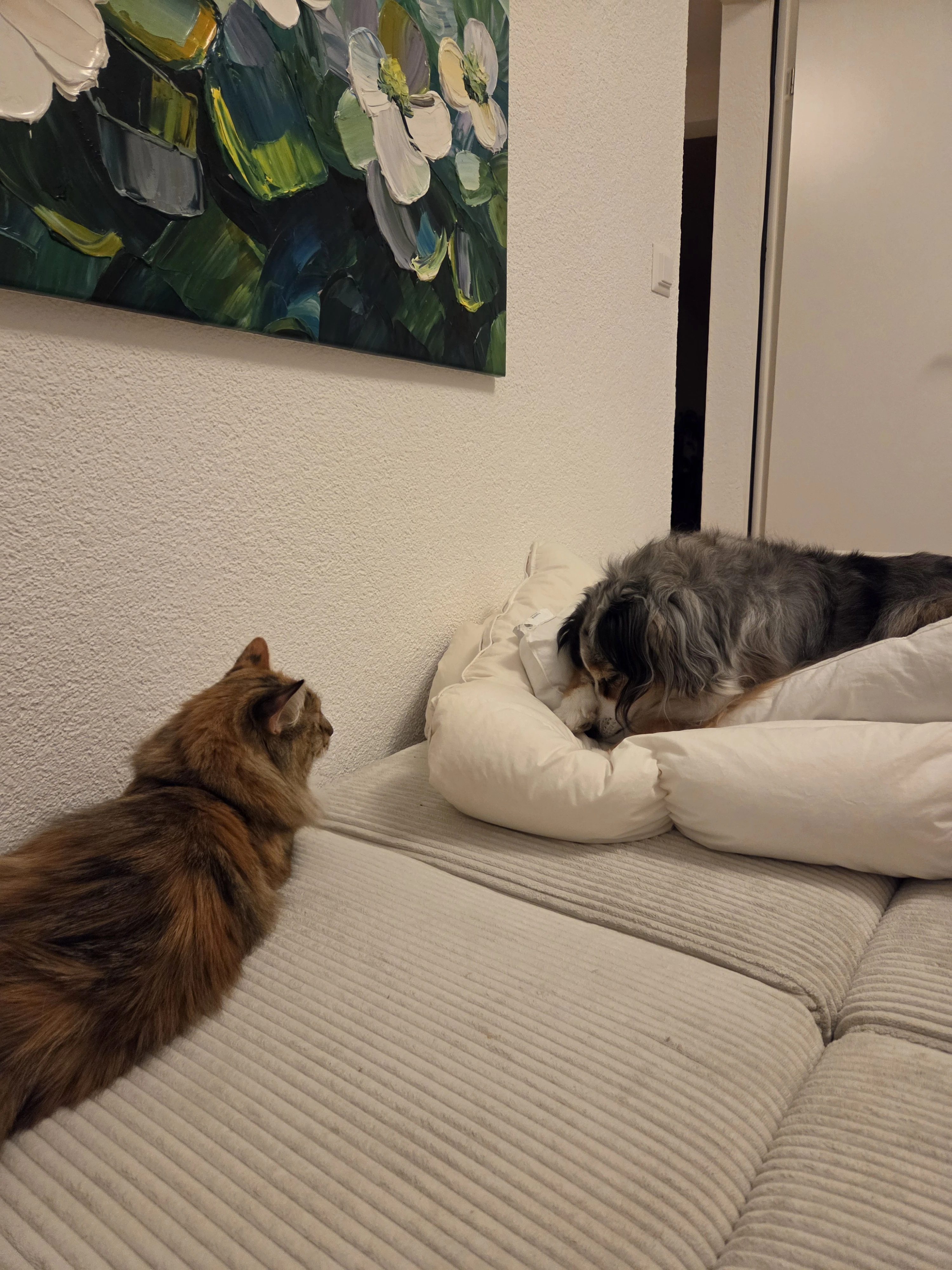 image-16