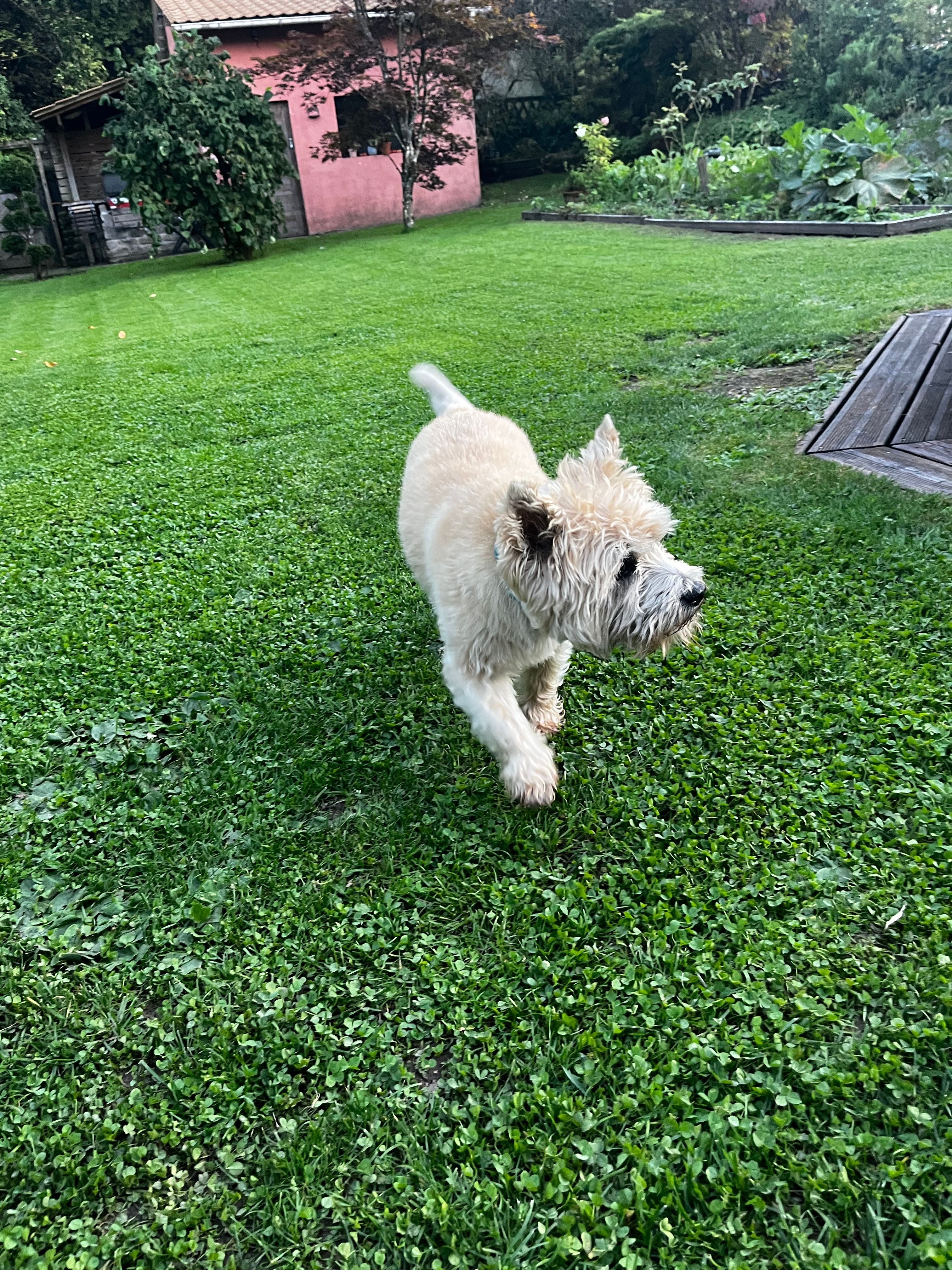 image-6