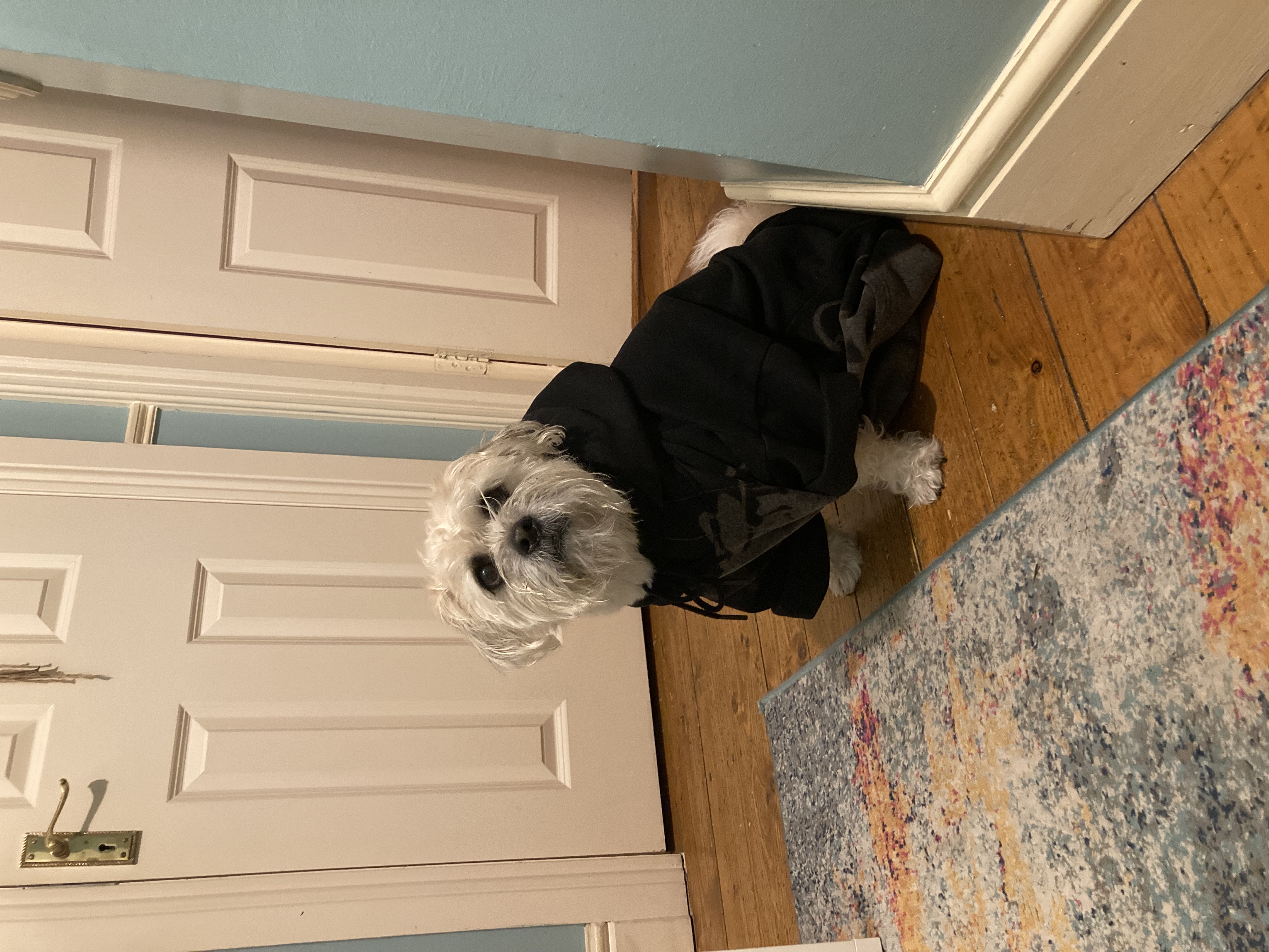 image-10