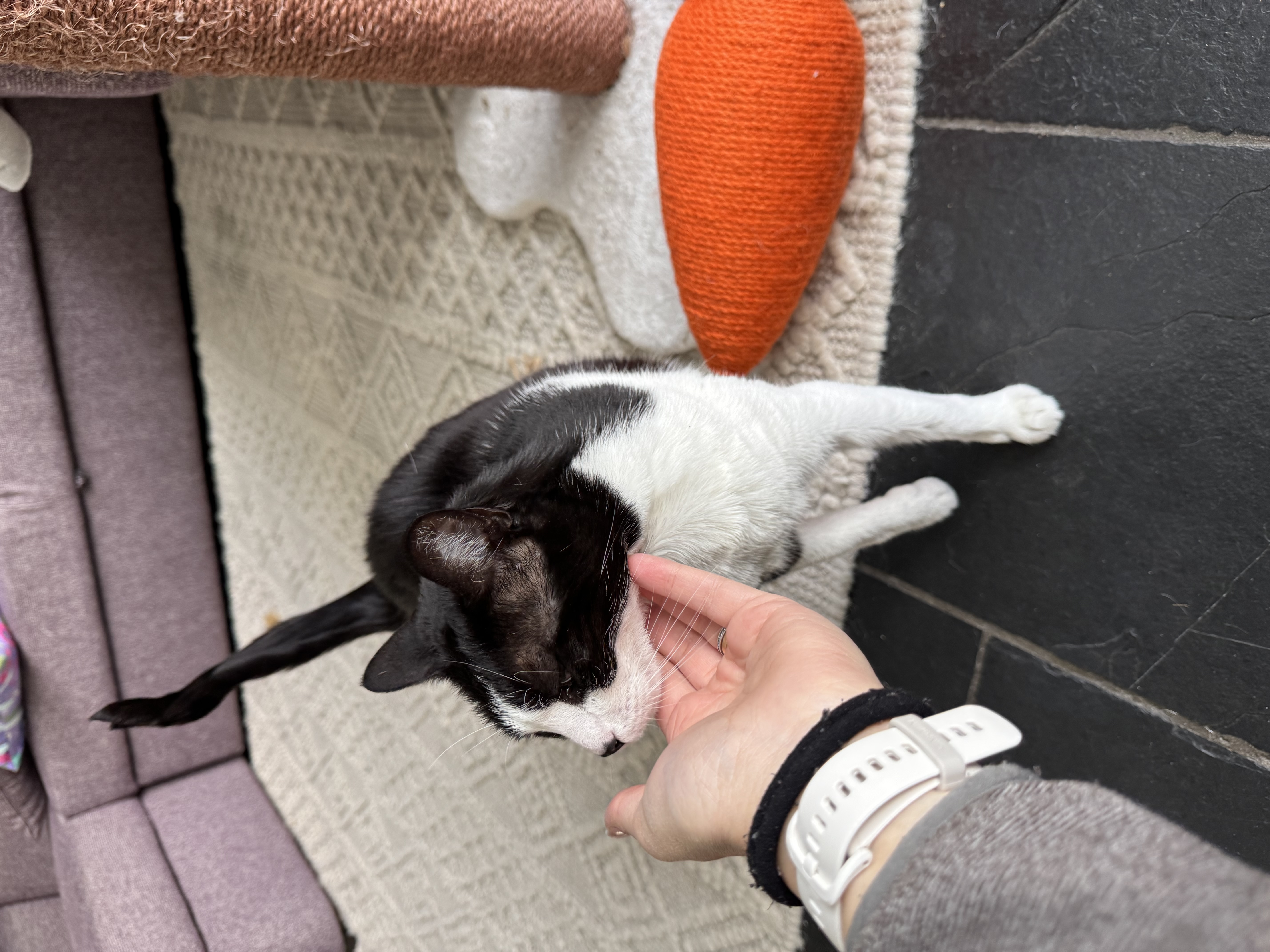 image-10
