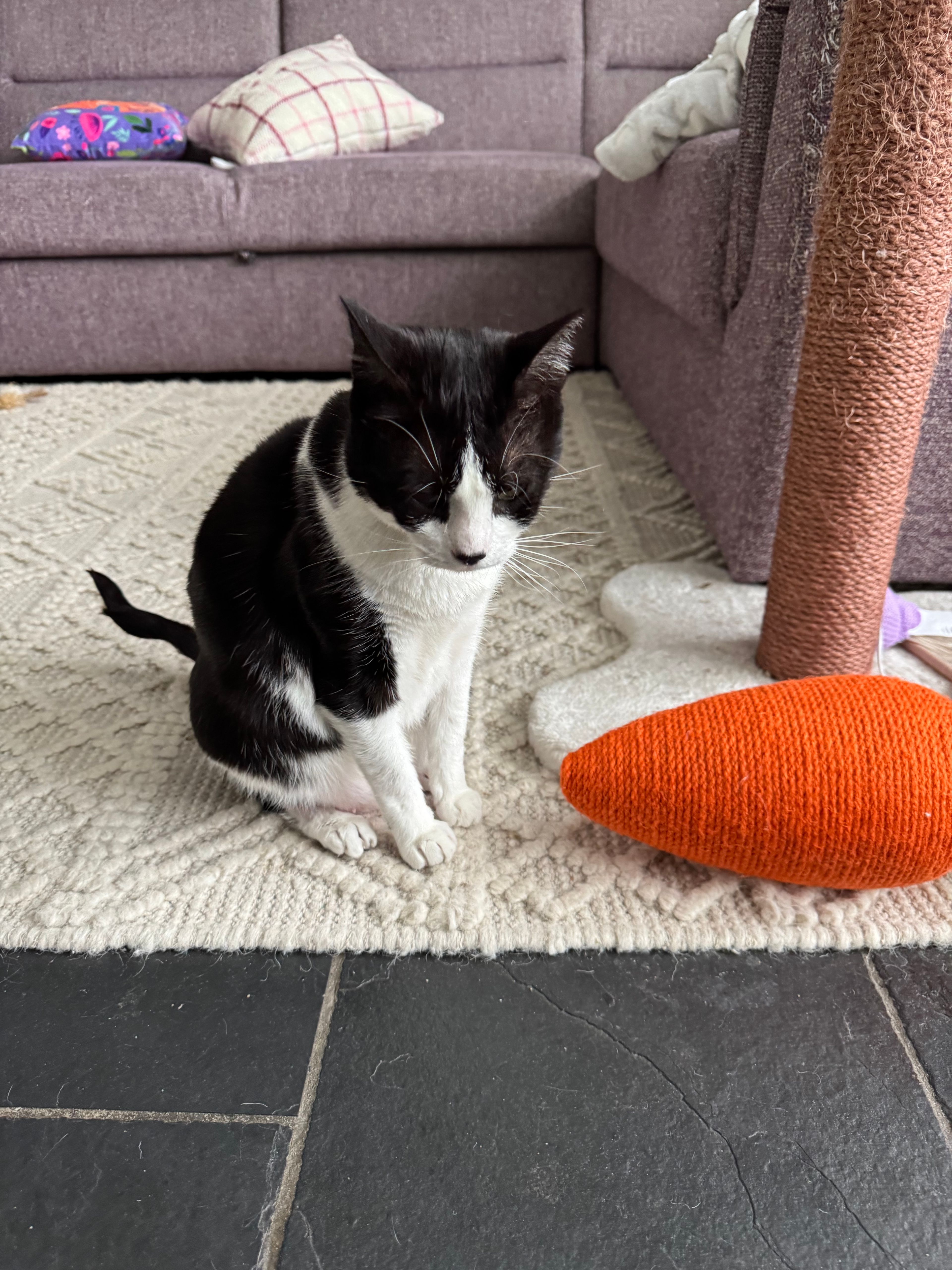 image-13