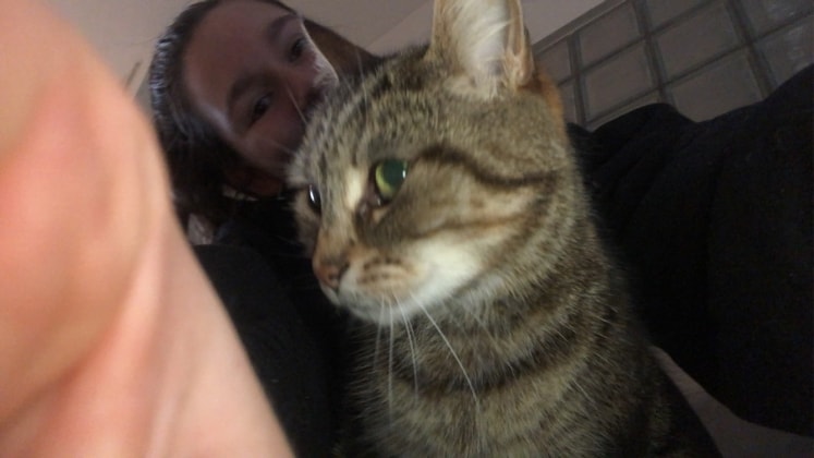 image-7