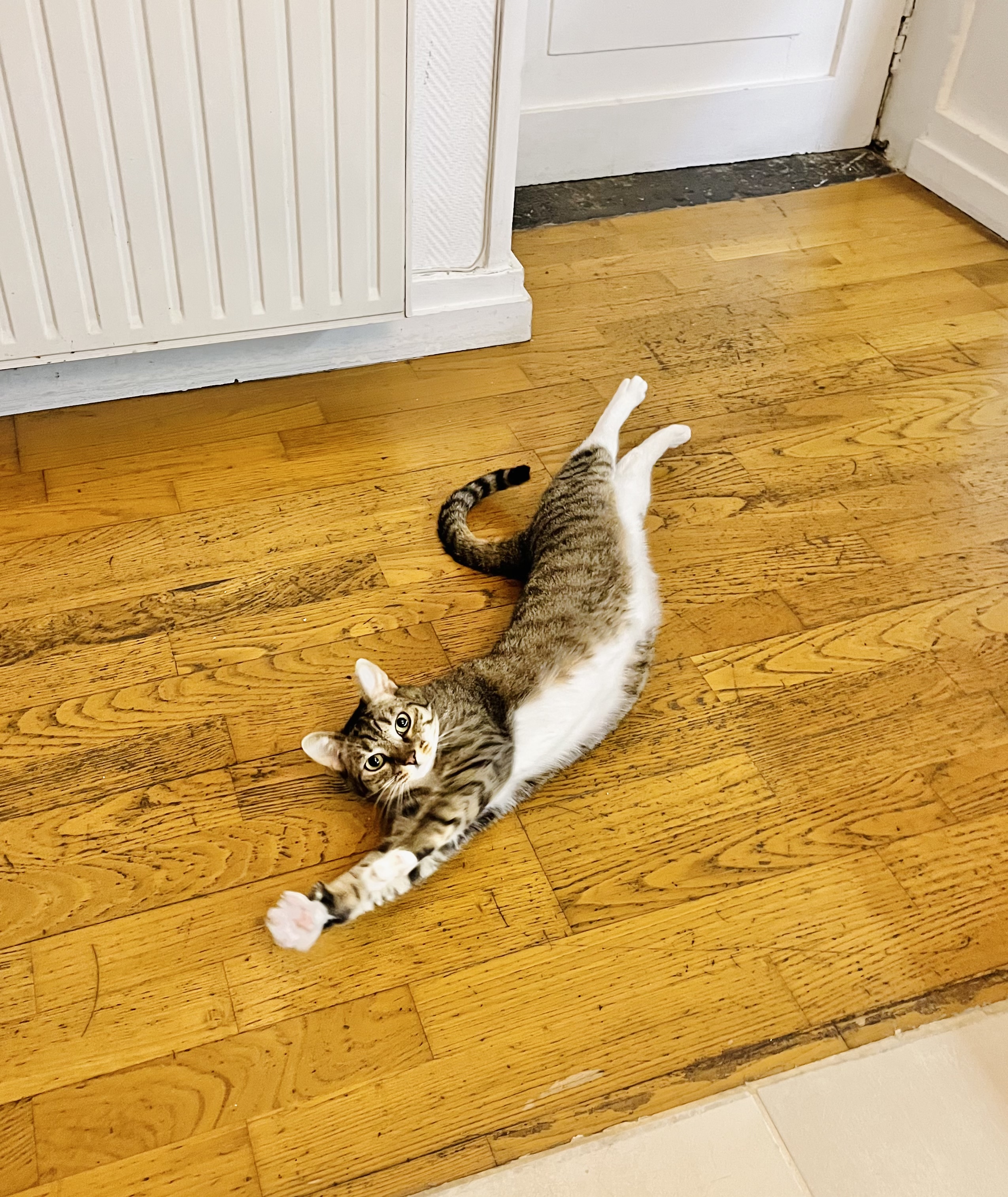 image-12