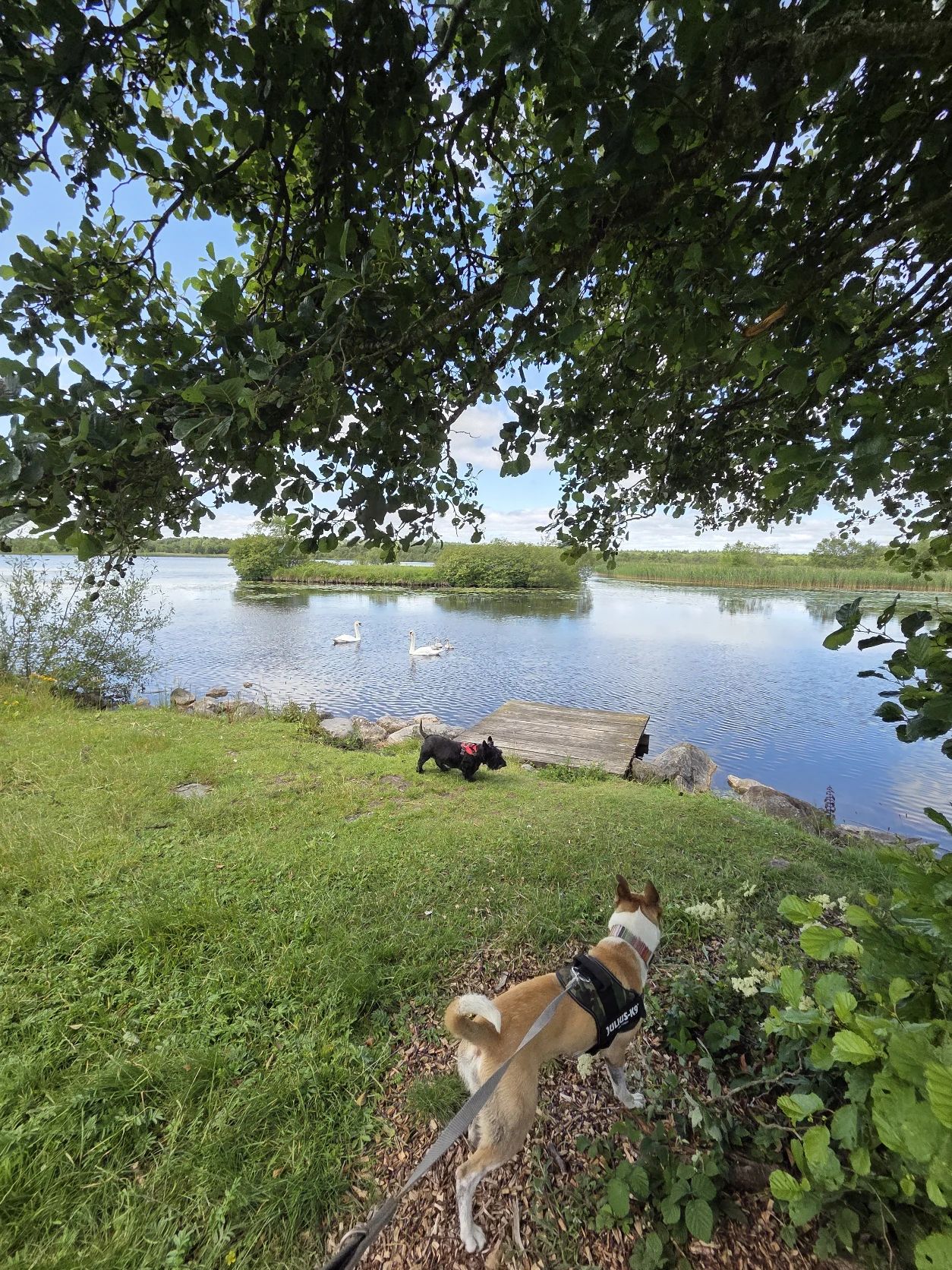 image-16