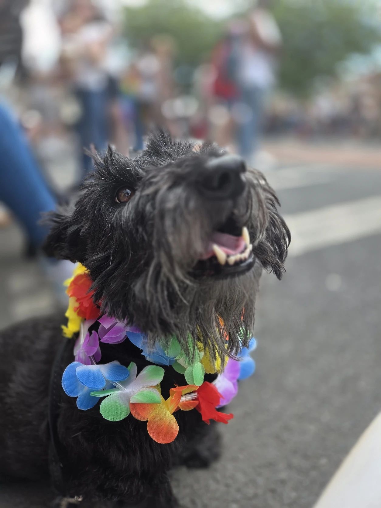 image-21