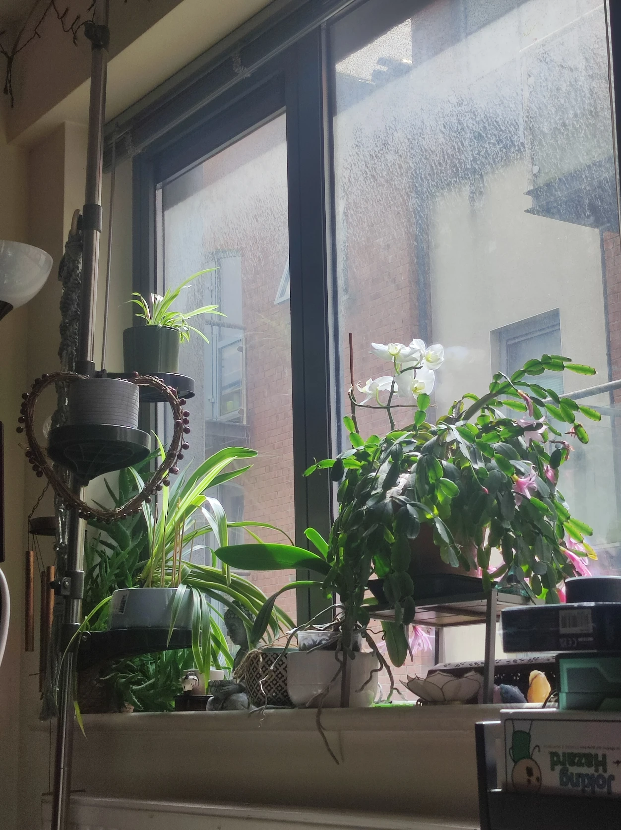image-11