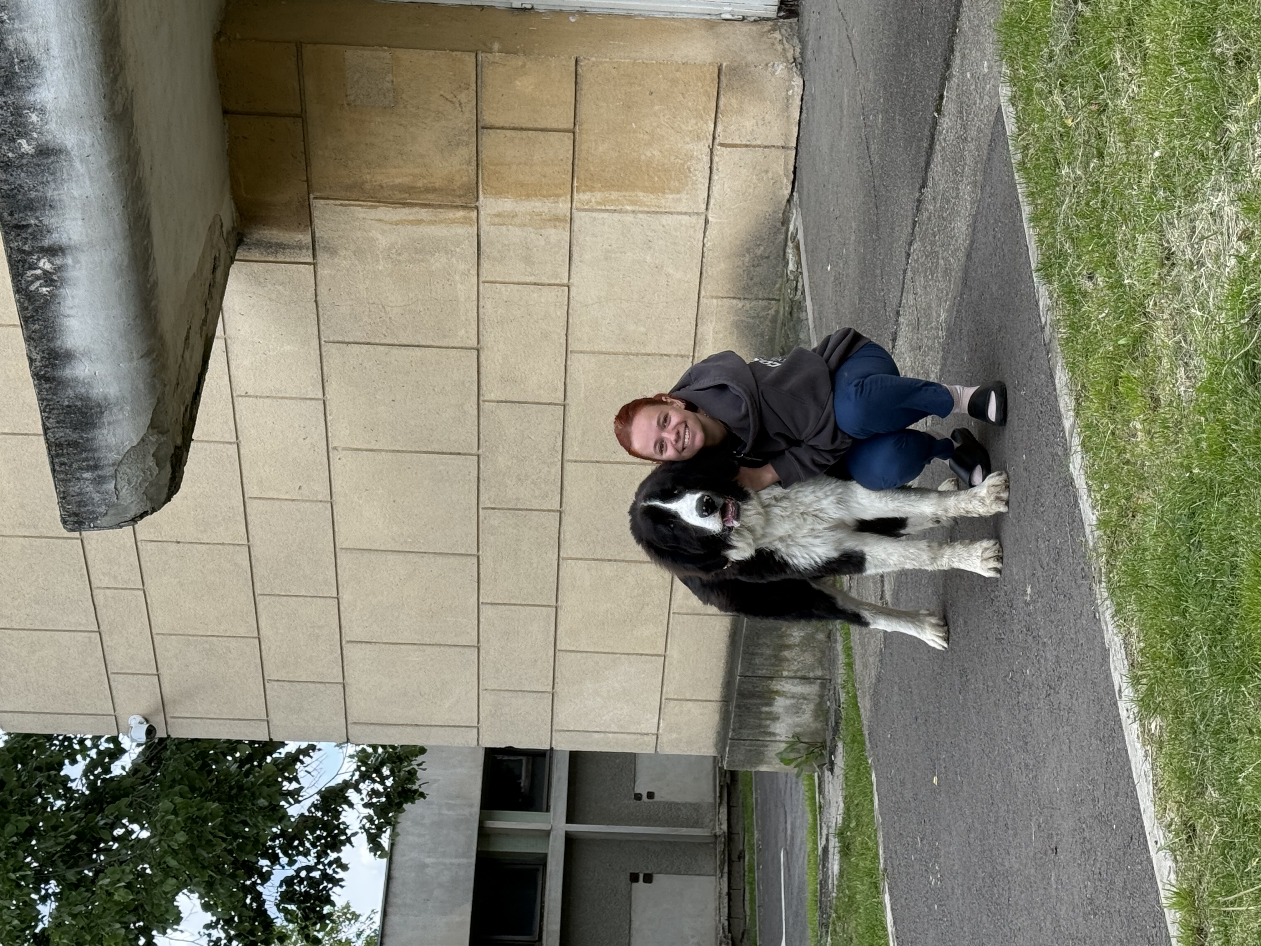 image-5