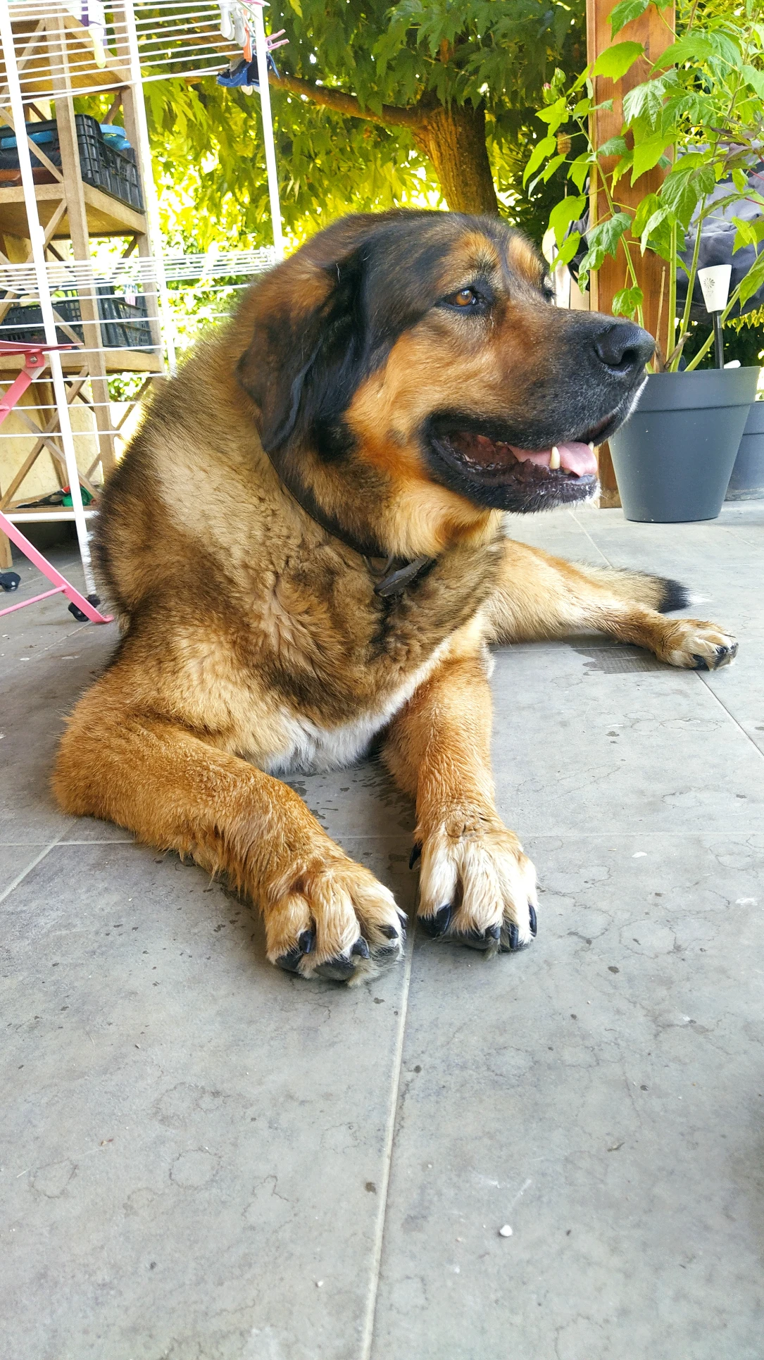 image-10