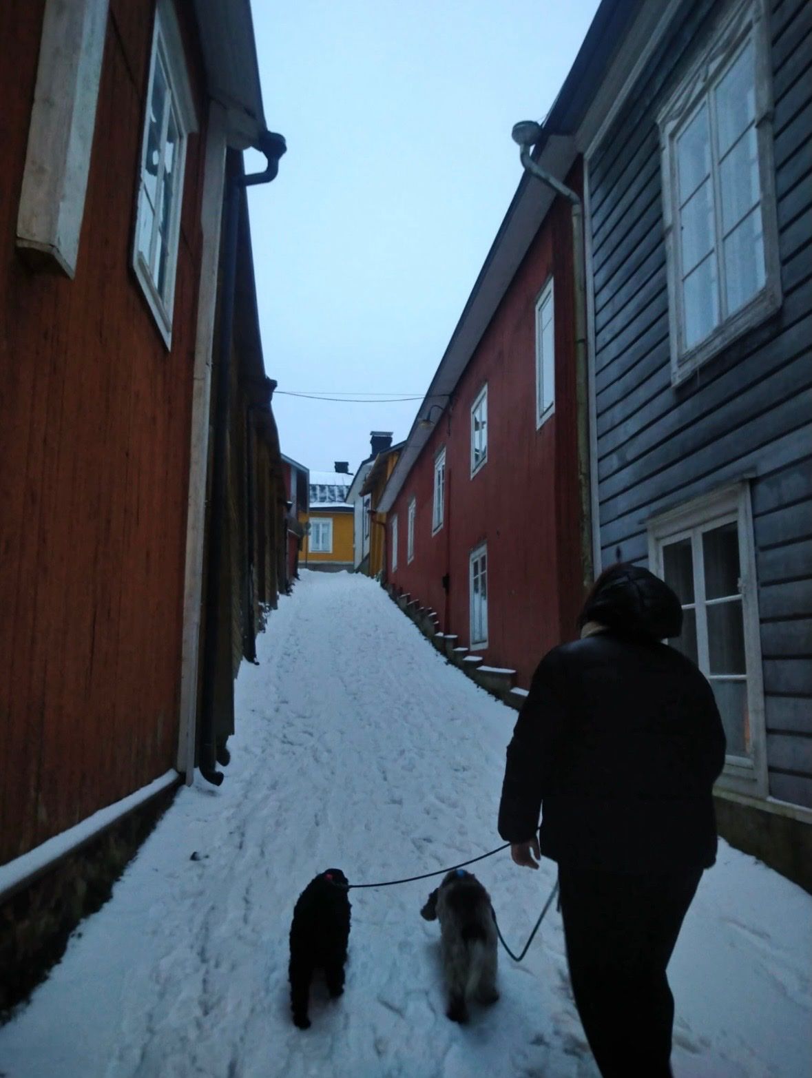 image-15