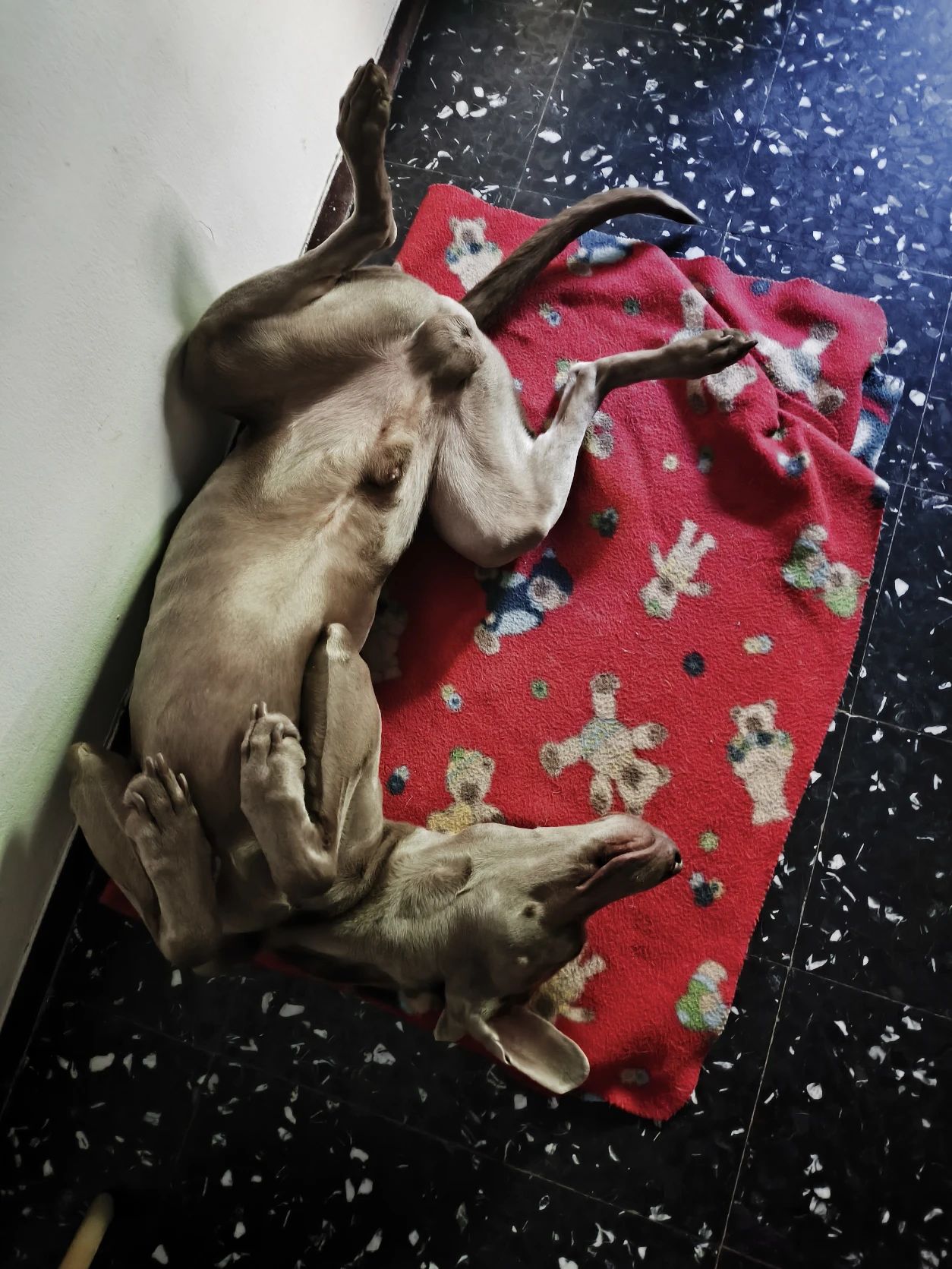 image-5