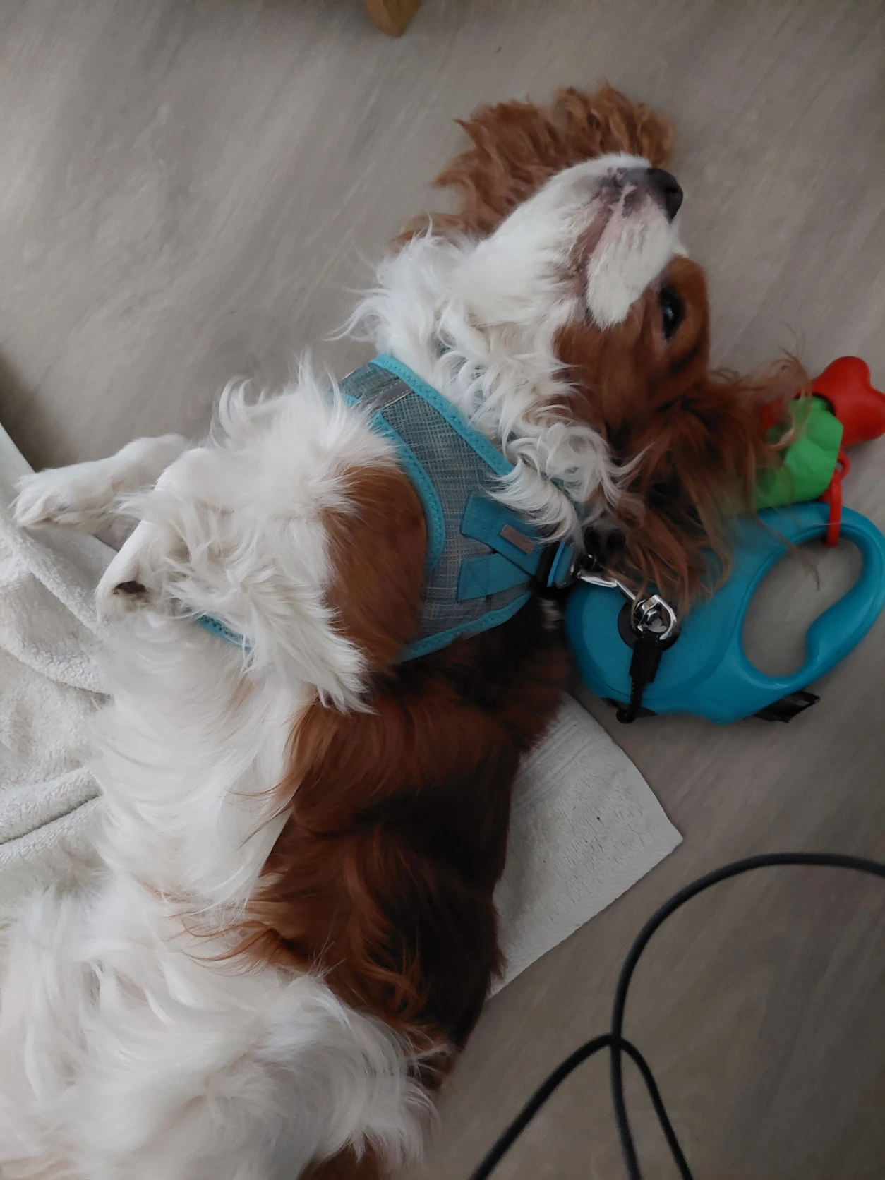 image-9