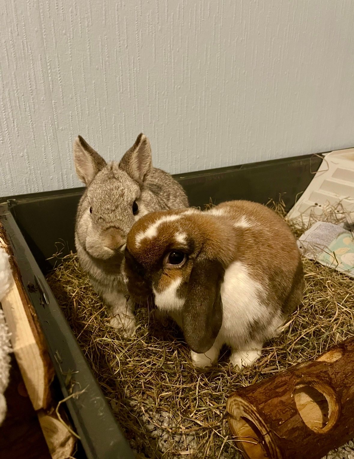 image-15