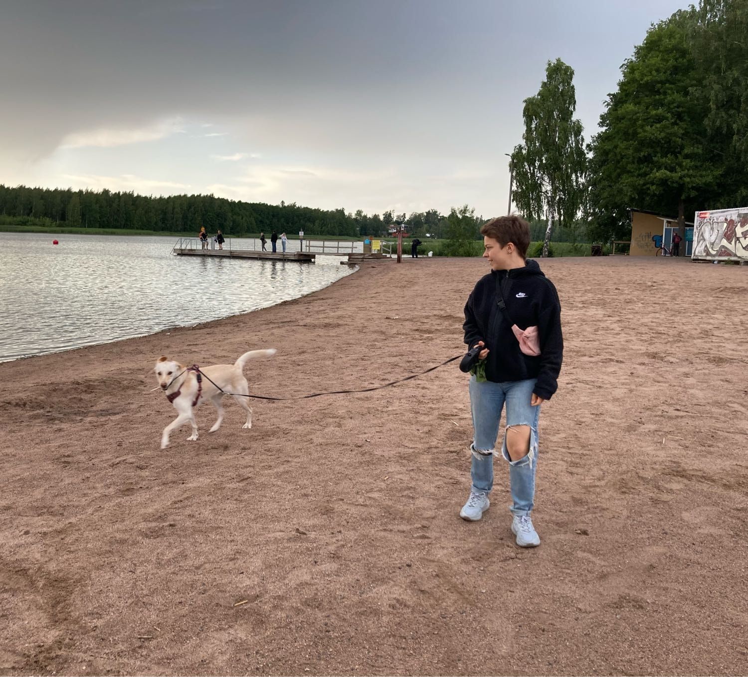 image-11
