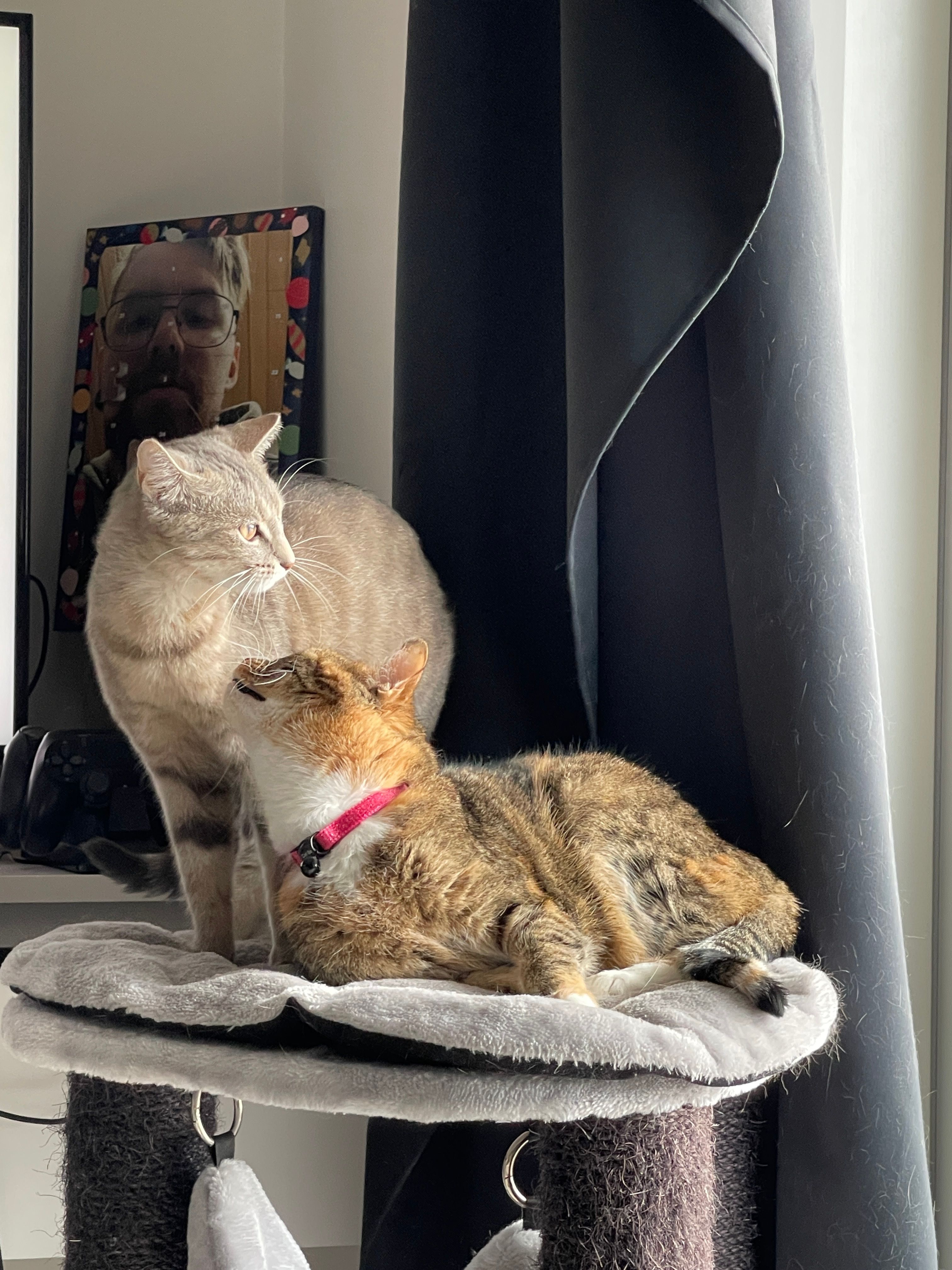 image-8