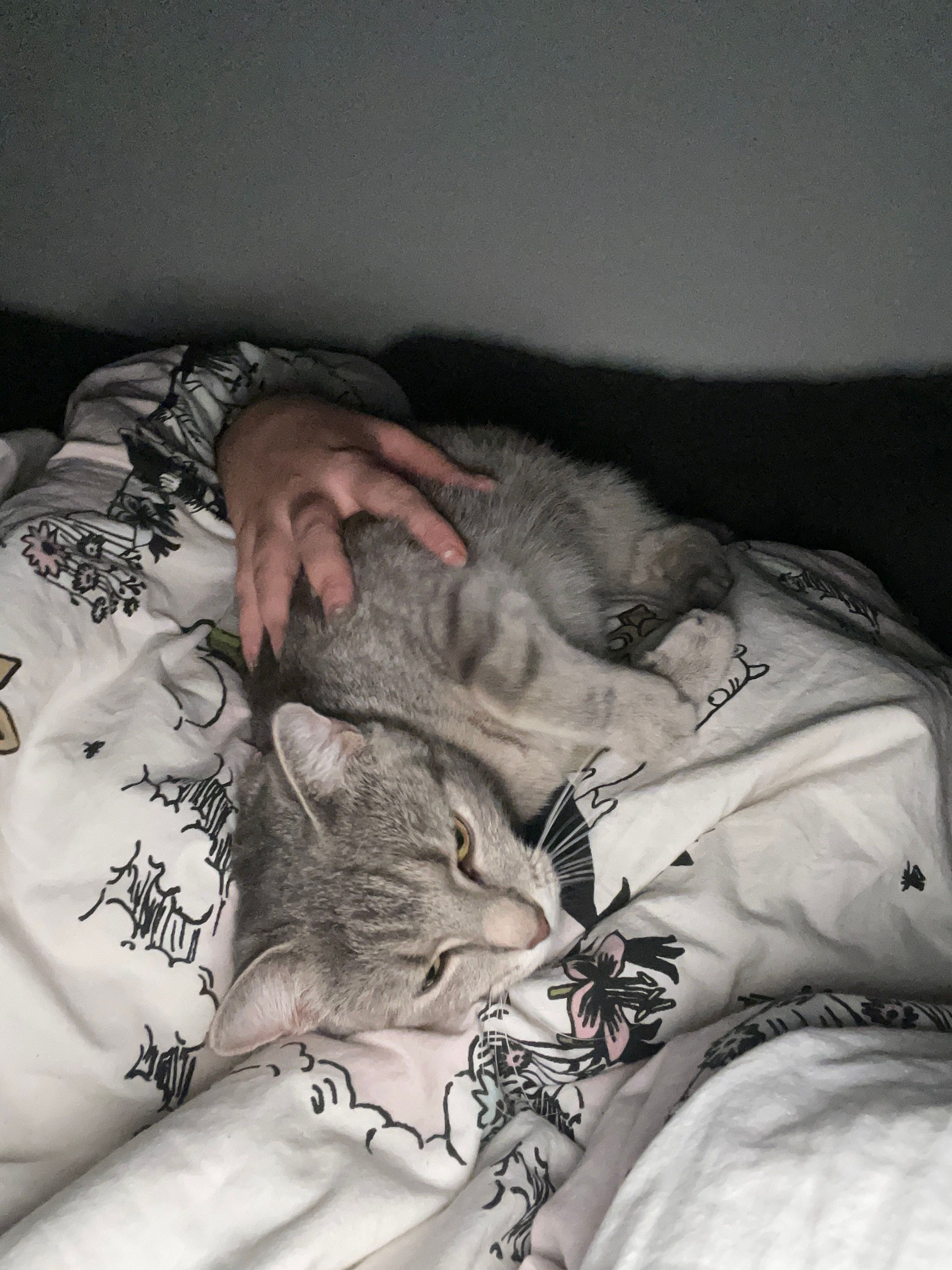 image-5