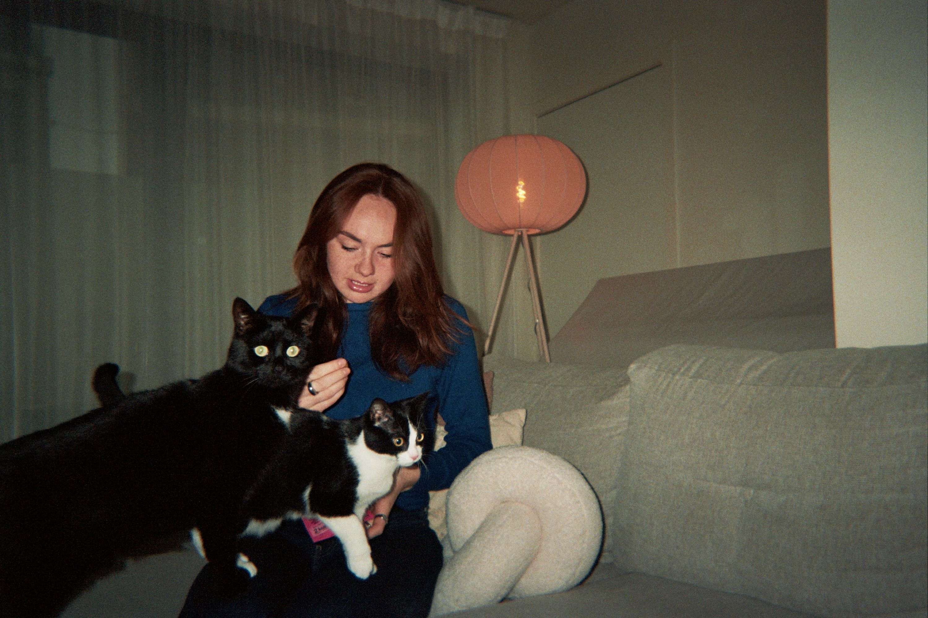 image-8