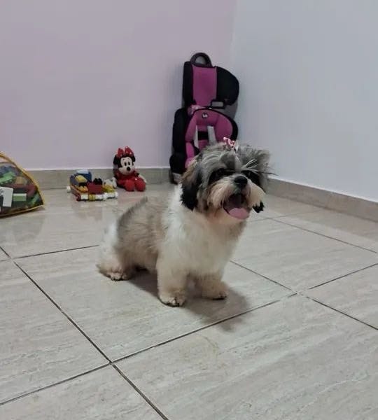image-5