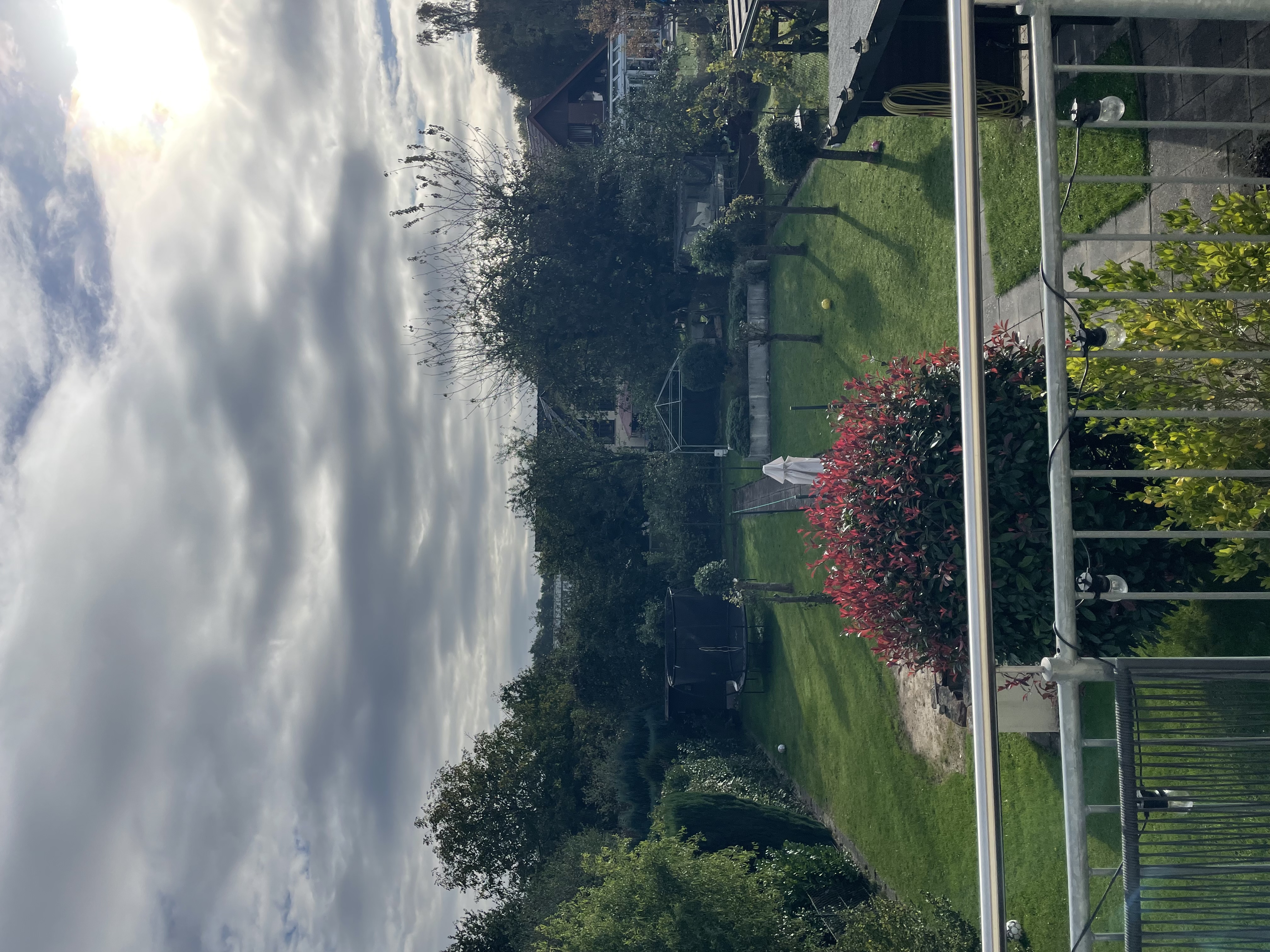 image-12