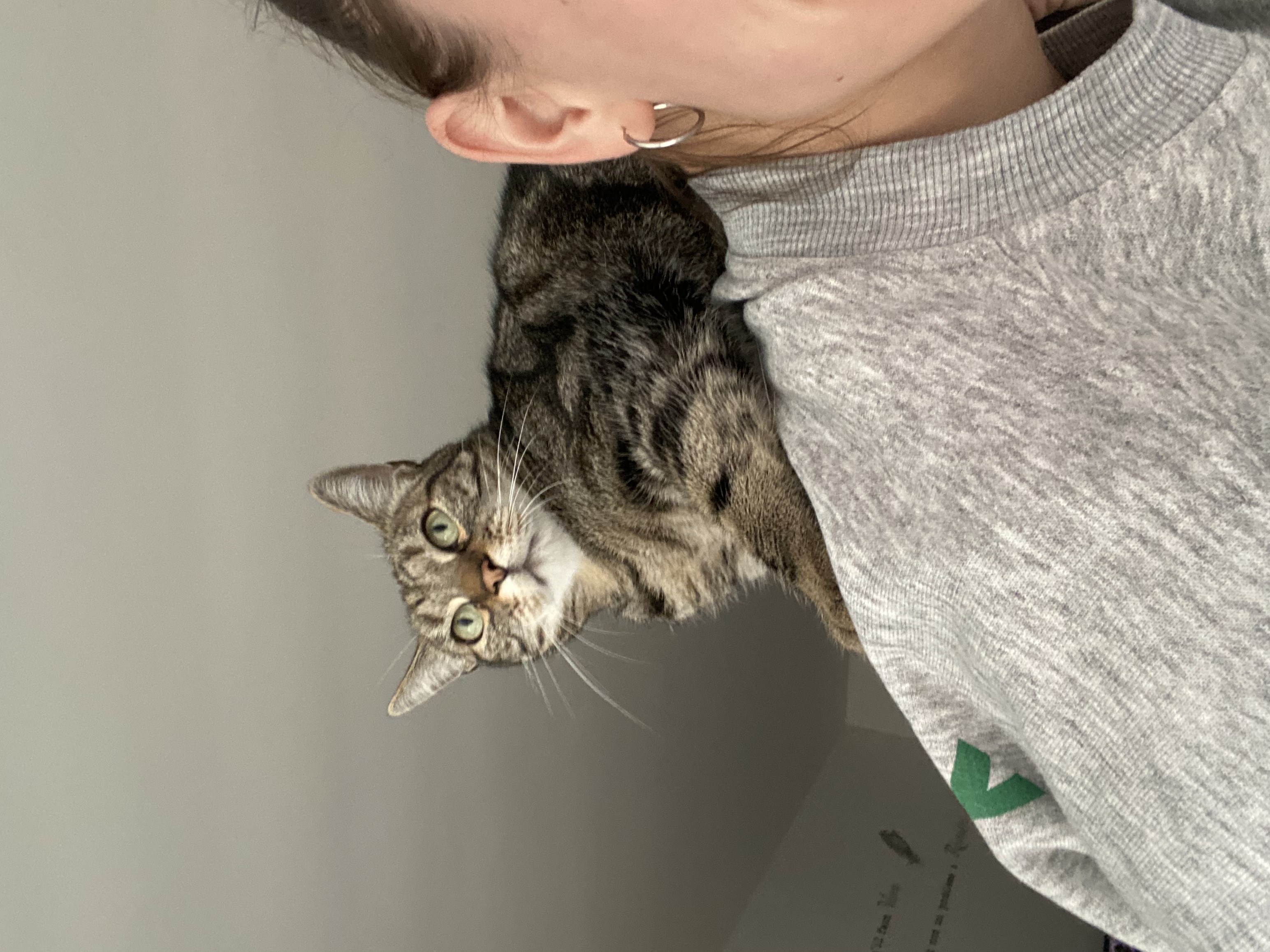 image-7