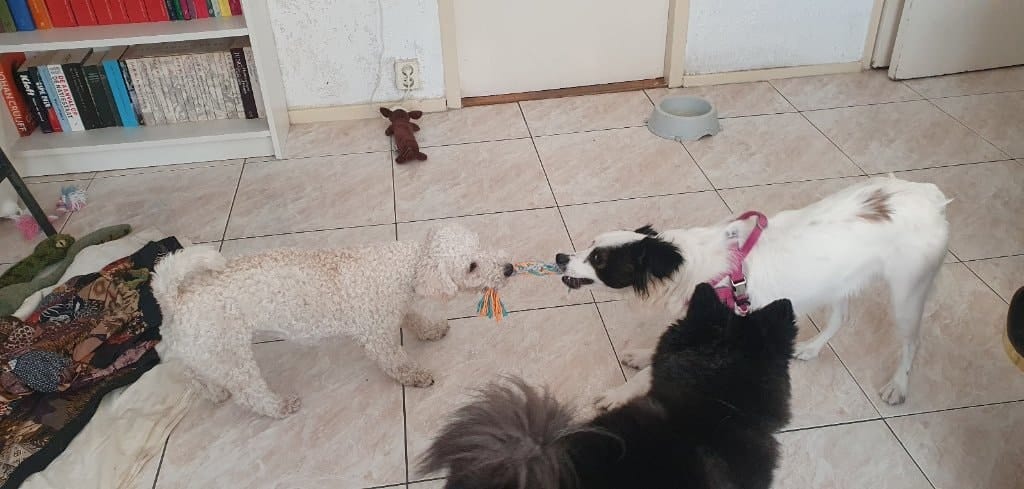 image-6