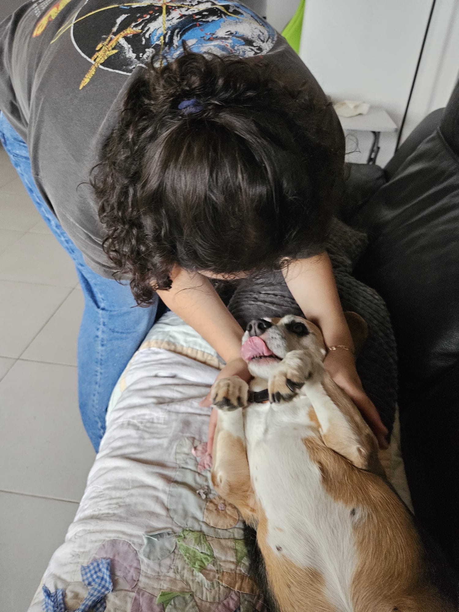 image-5
