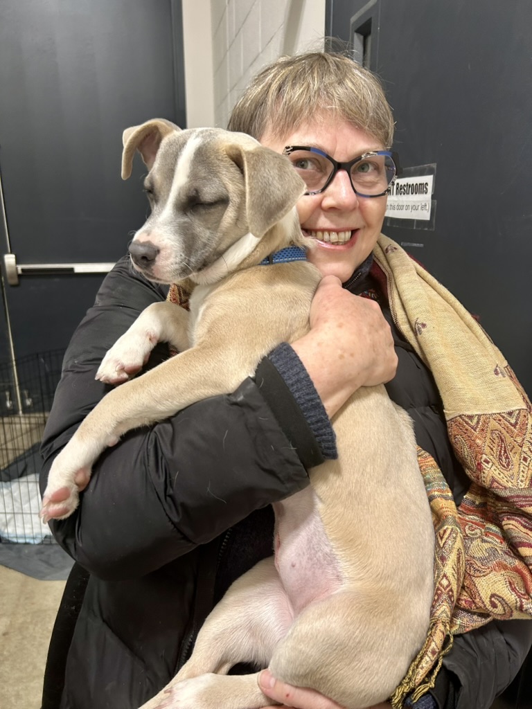 image-1