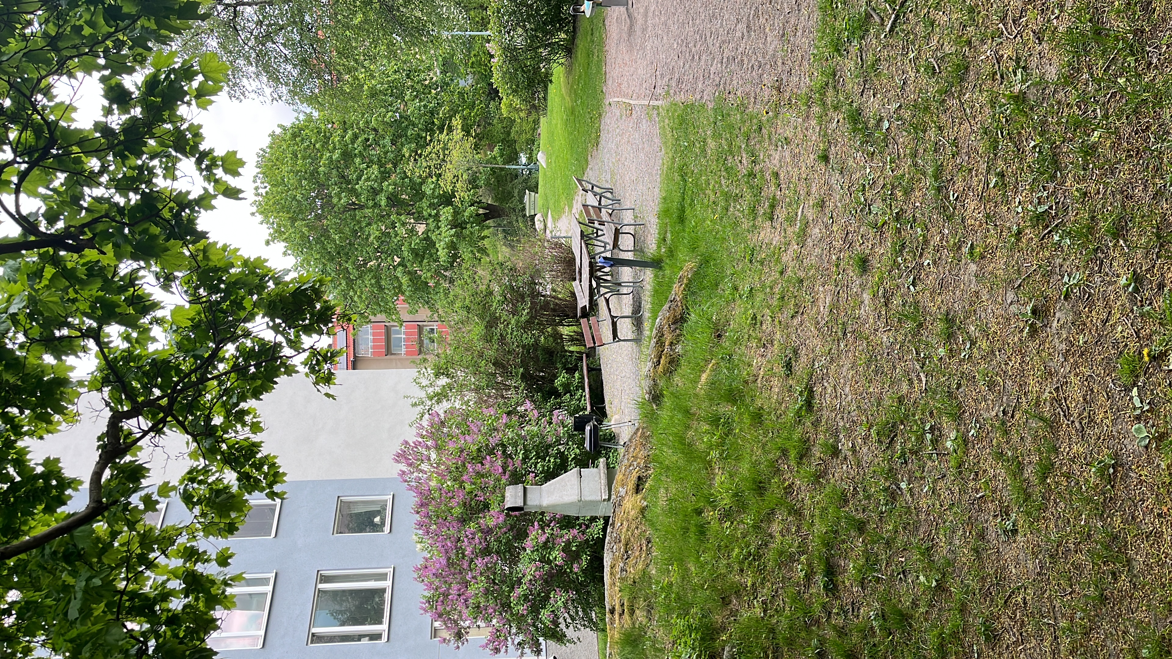 image-75