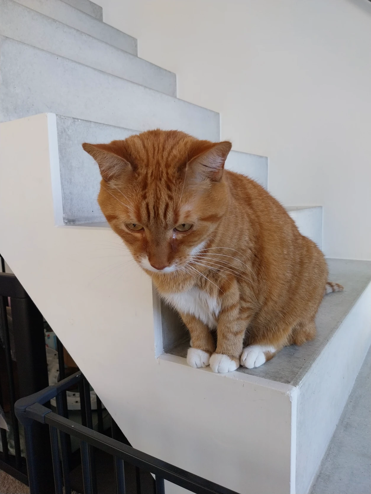 image-15