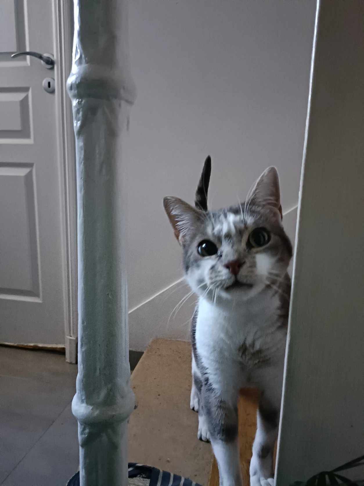 image-8