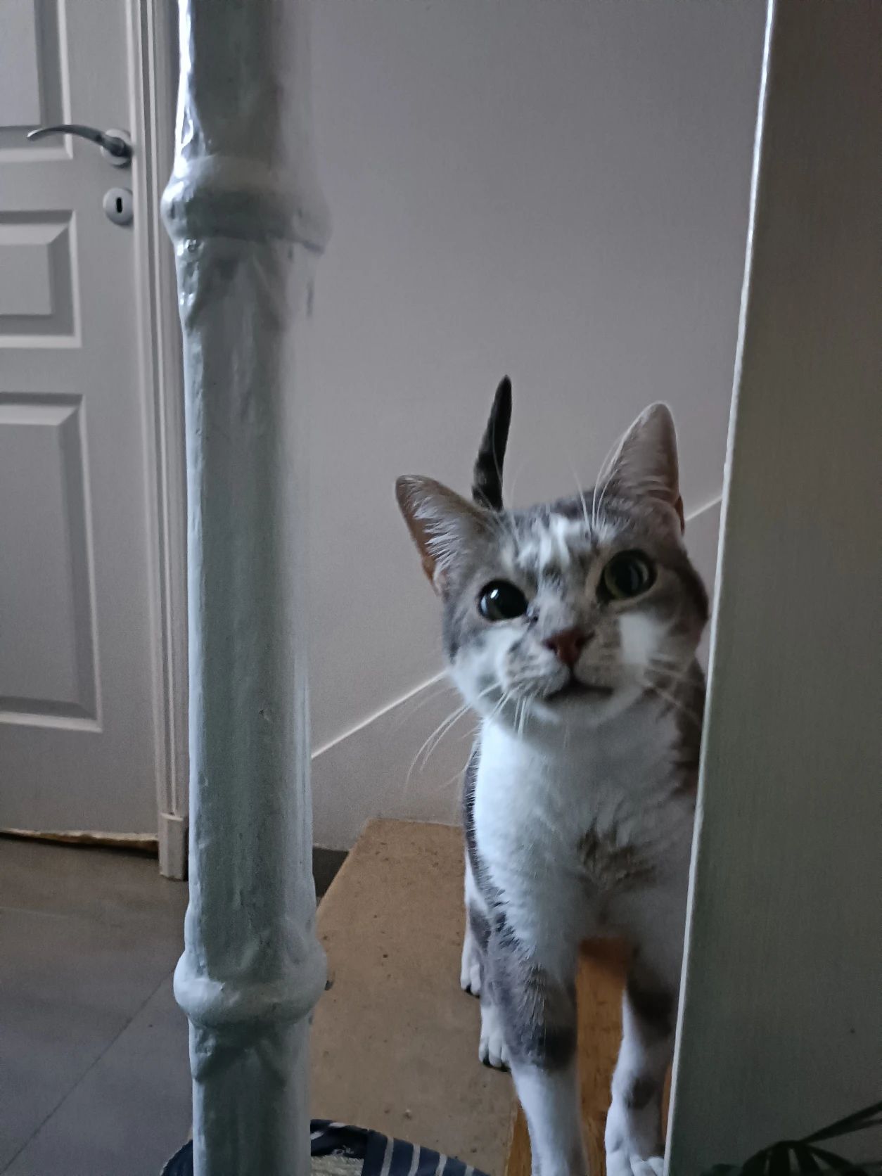 image-8