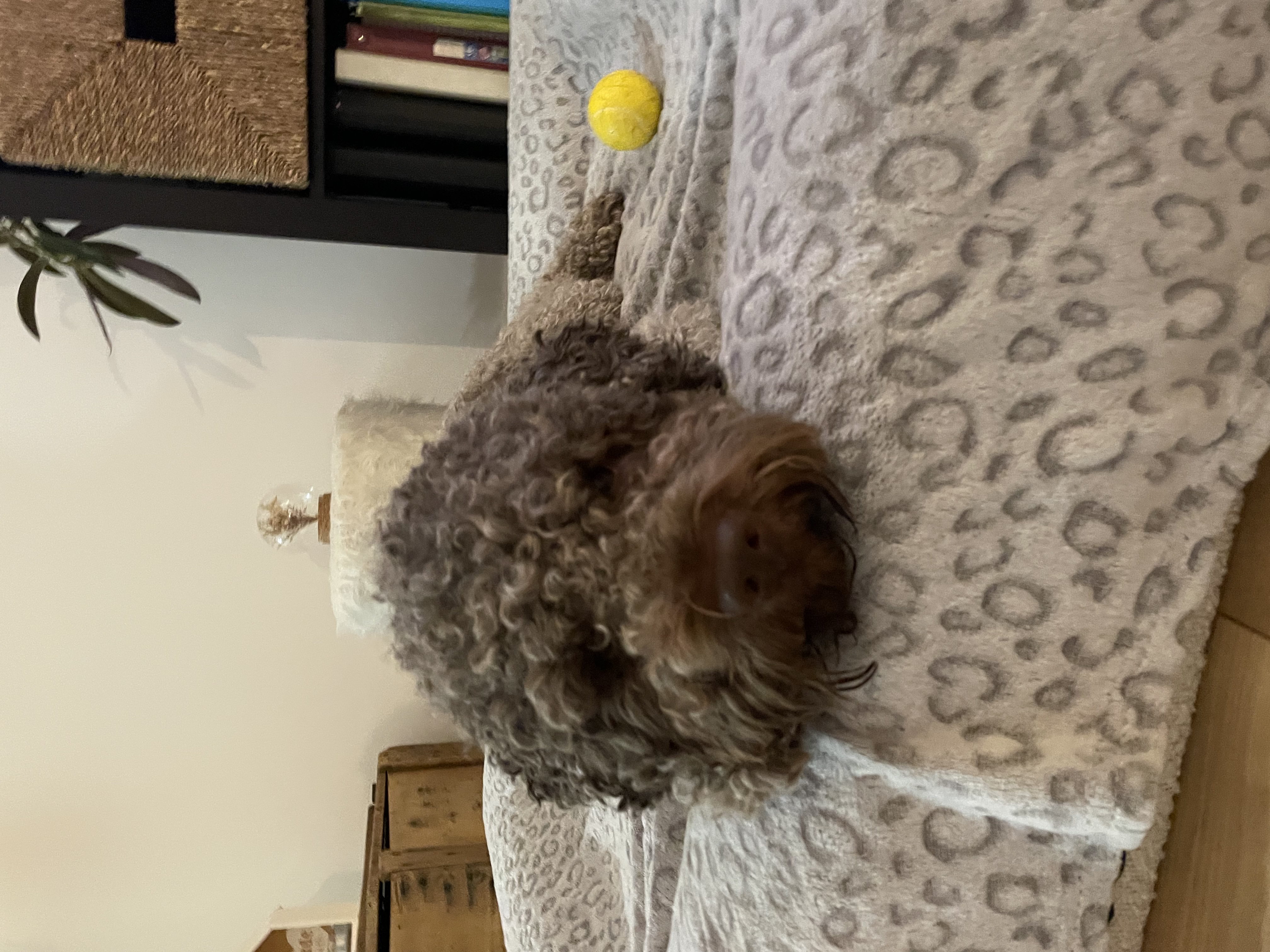 image-13
